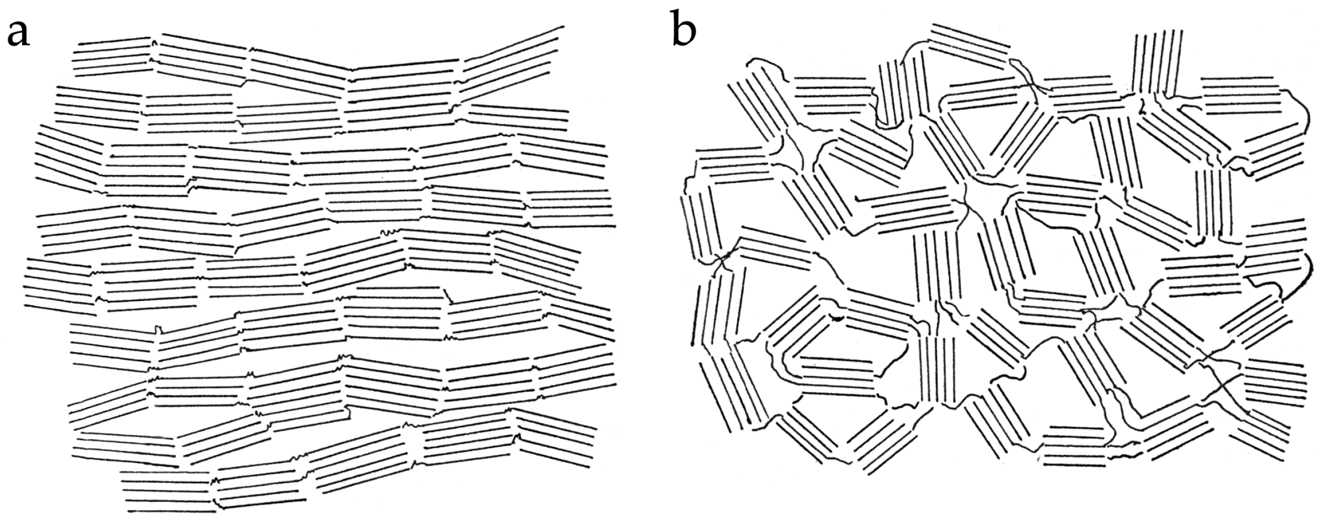 Carbon 11 00078 g004 Carbon 11 00078 g004