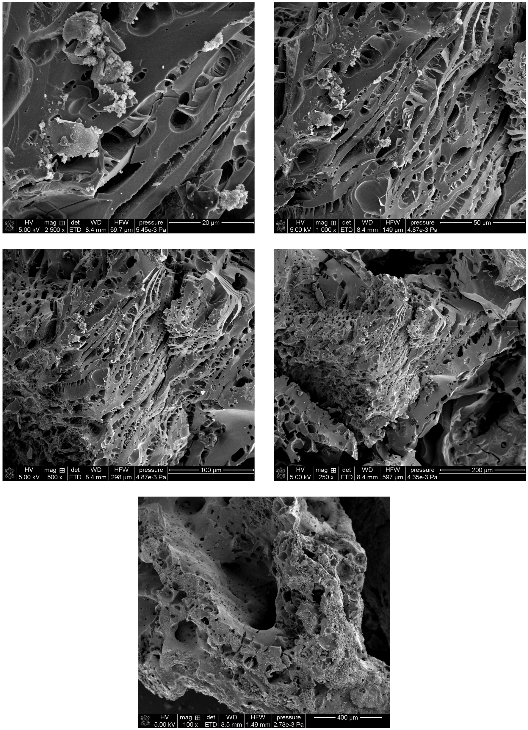Carbon 11 00086 g003