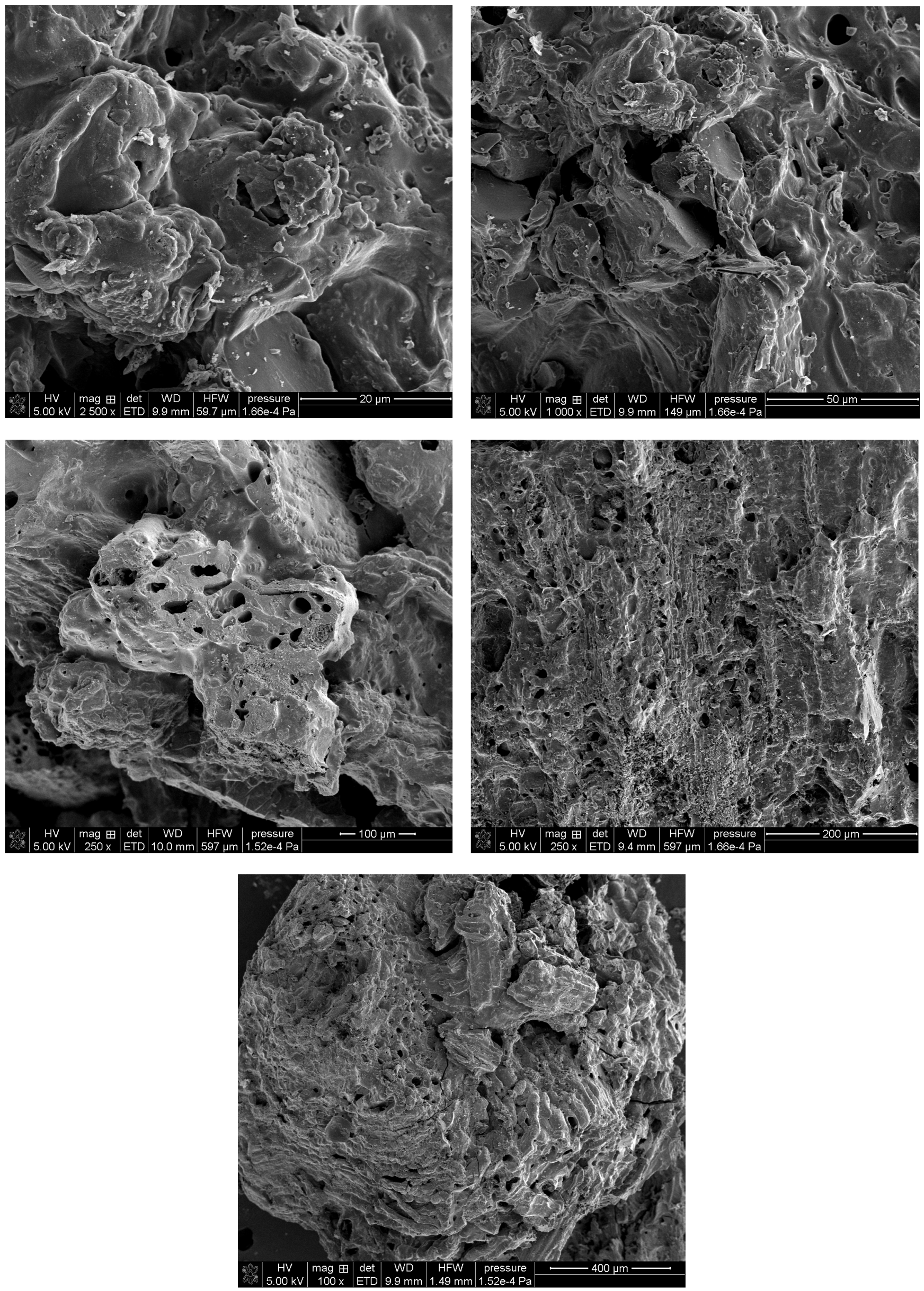 Carbon 11 00086 g004
