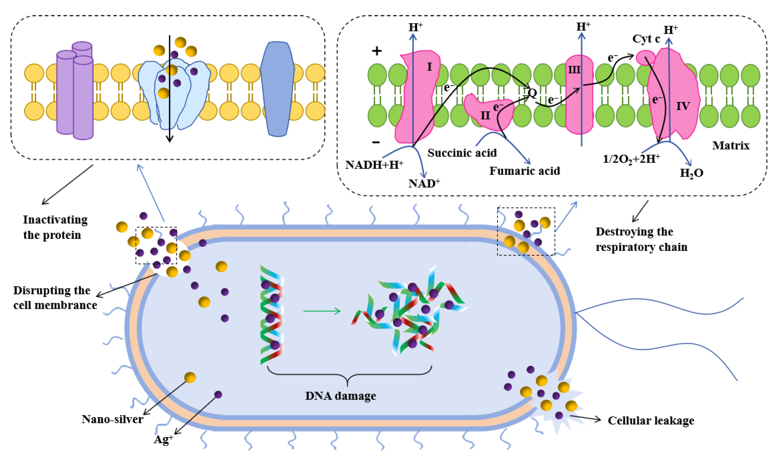 Carbon 11 00094 g008 Carbon 11 00094 g008