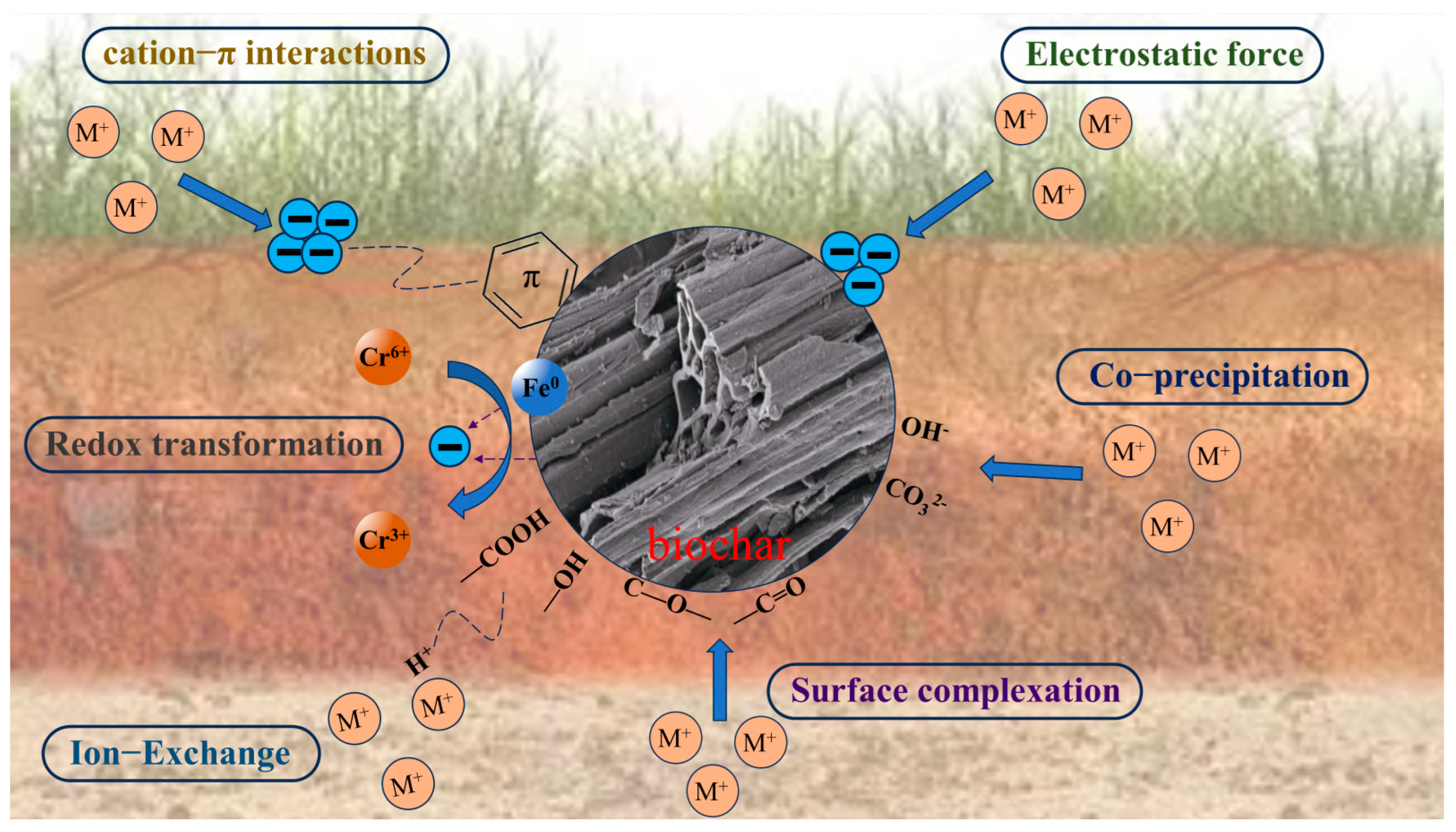 Remediation of Heavy Metals and Organic Pollutants in Soil by