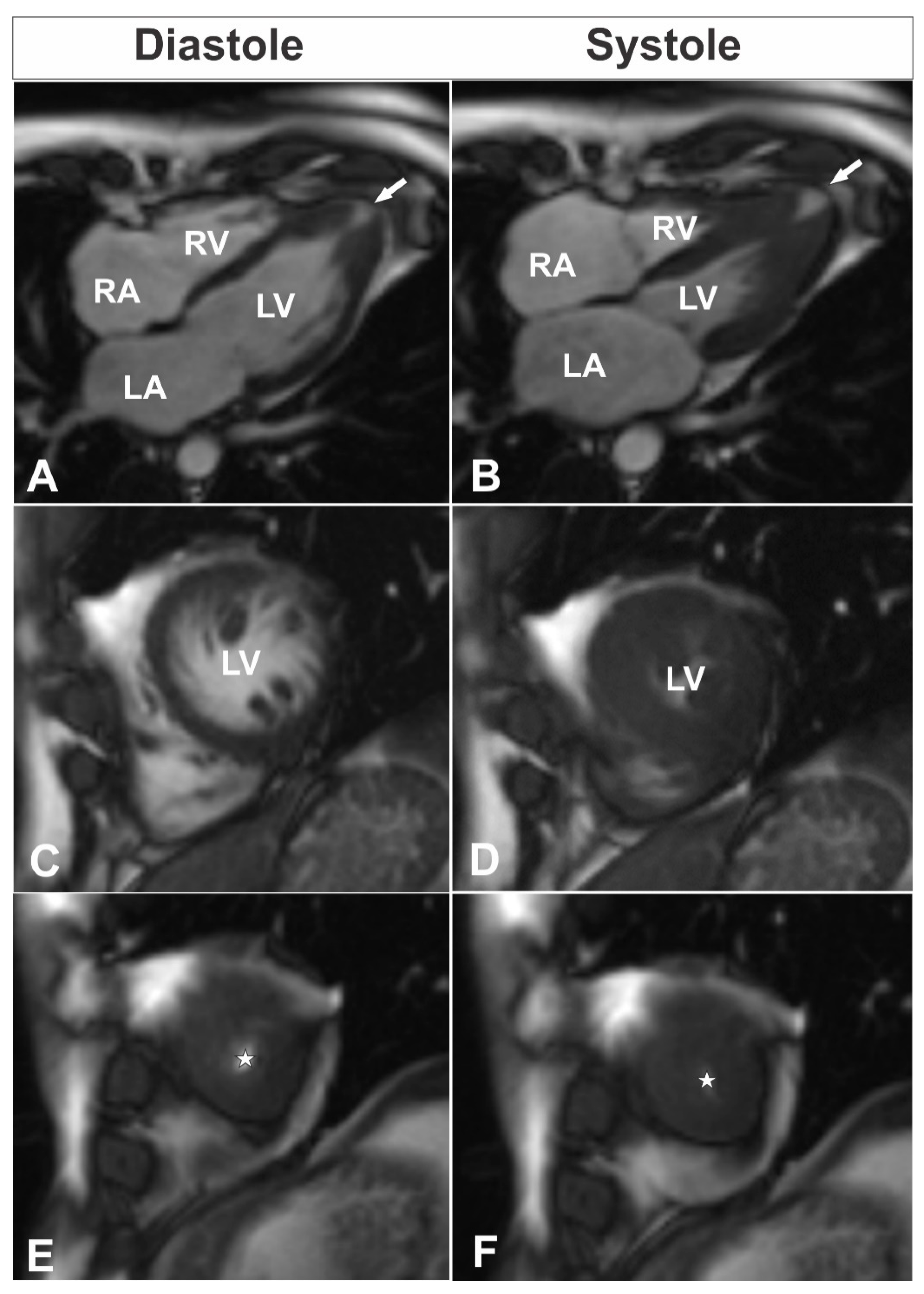 Cardiogenetics 11 00005 g001
