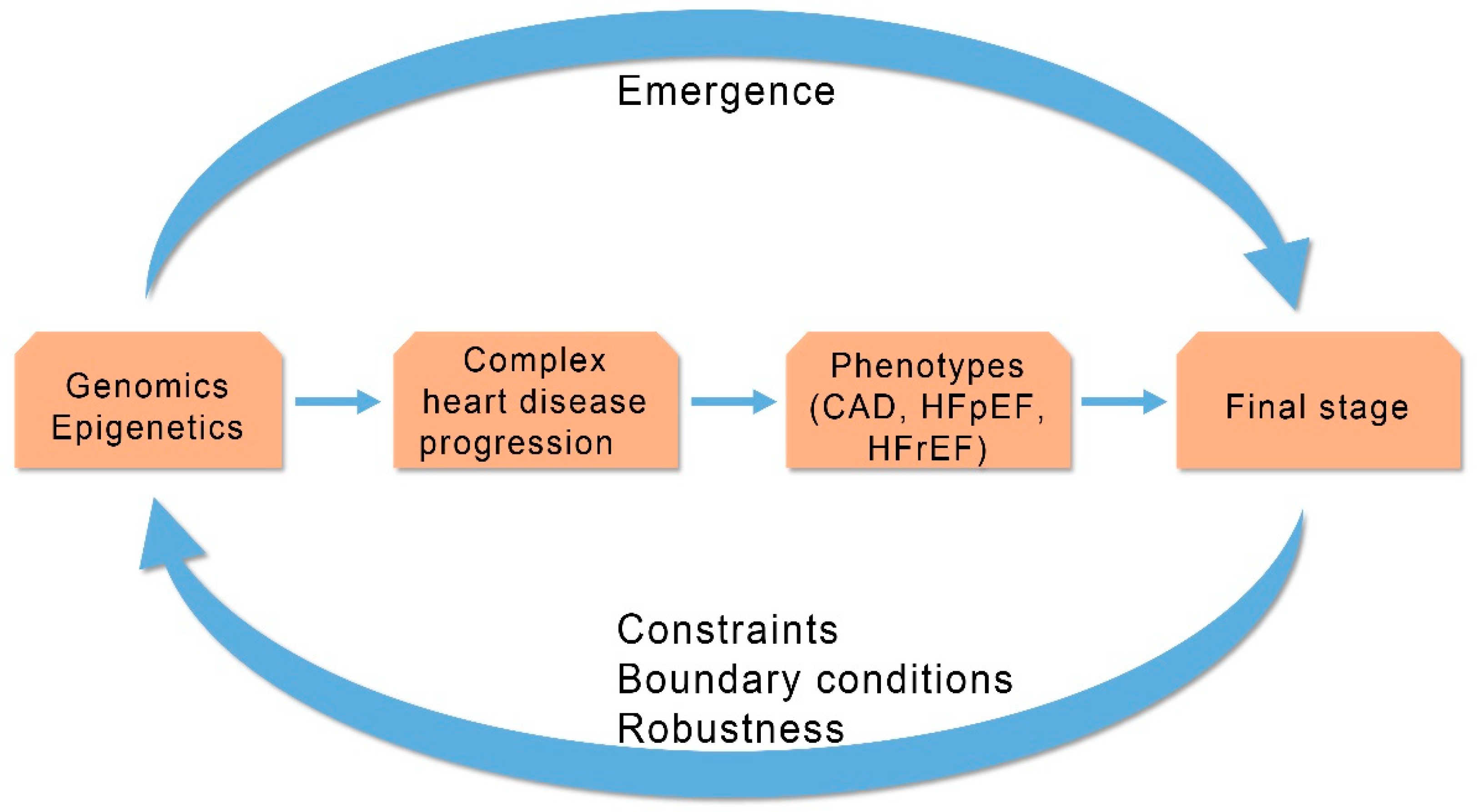Cardiogenetics 11 00007 g003
