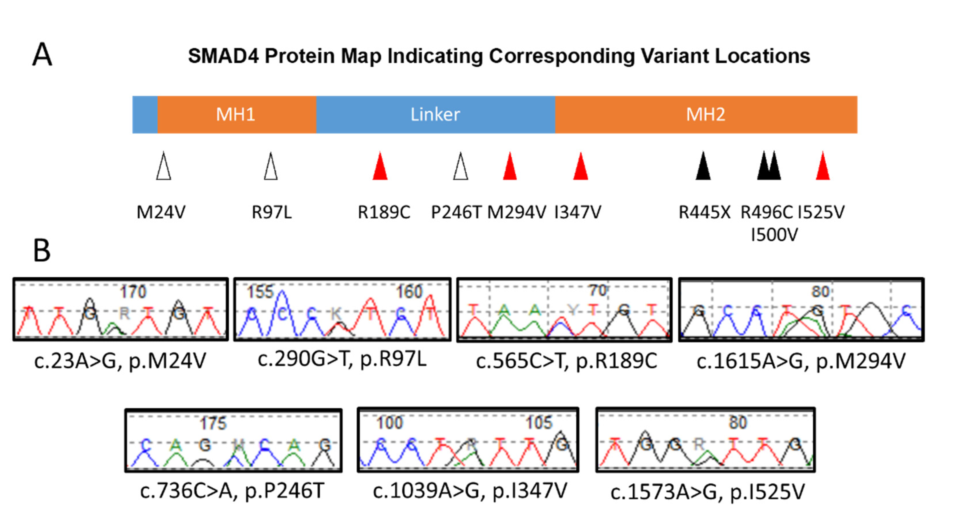 Cardiogenetics 11 00015 g001