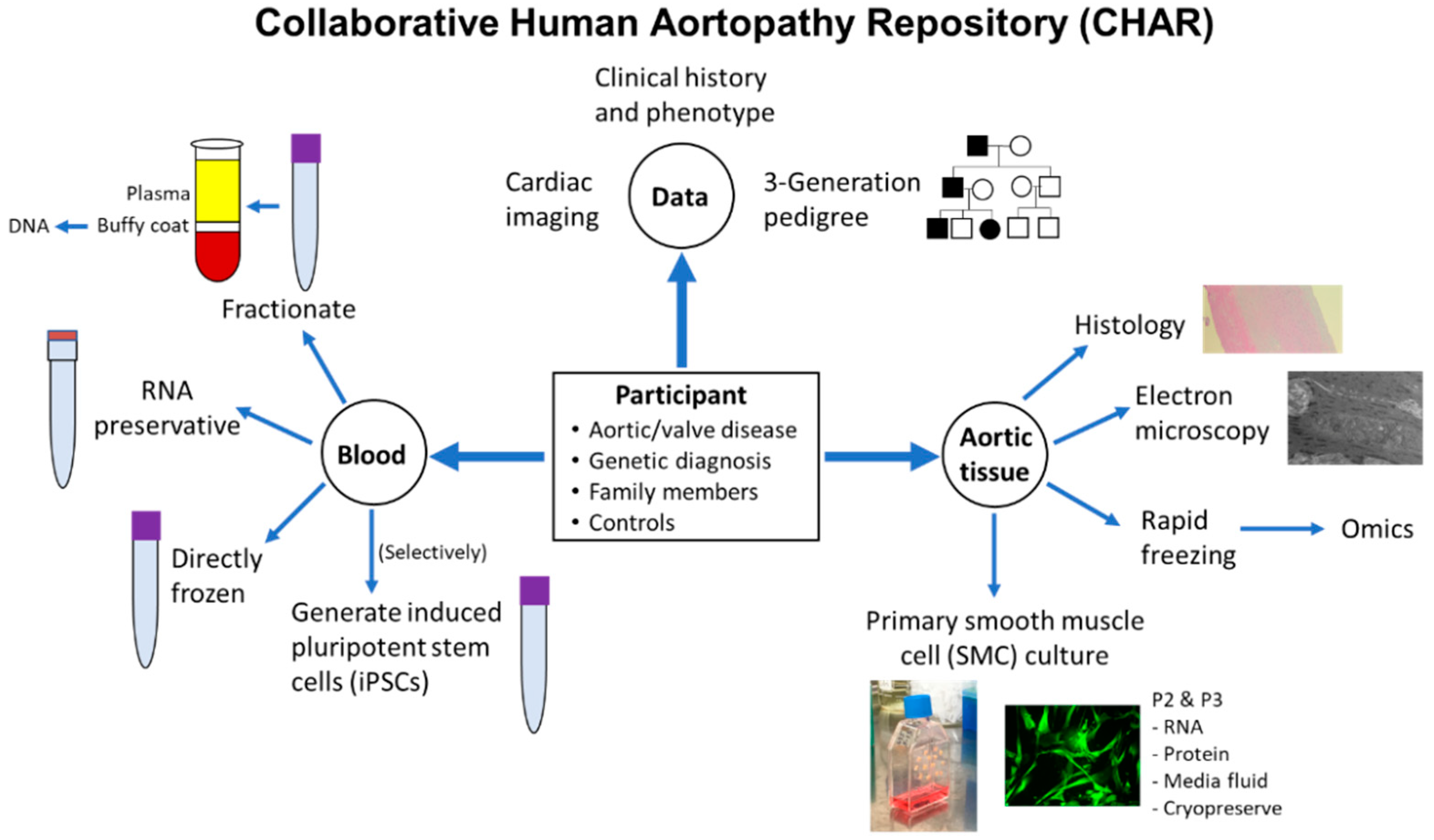 Cardiogenetics 11 00017 g001