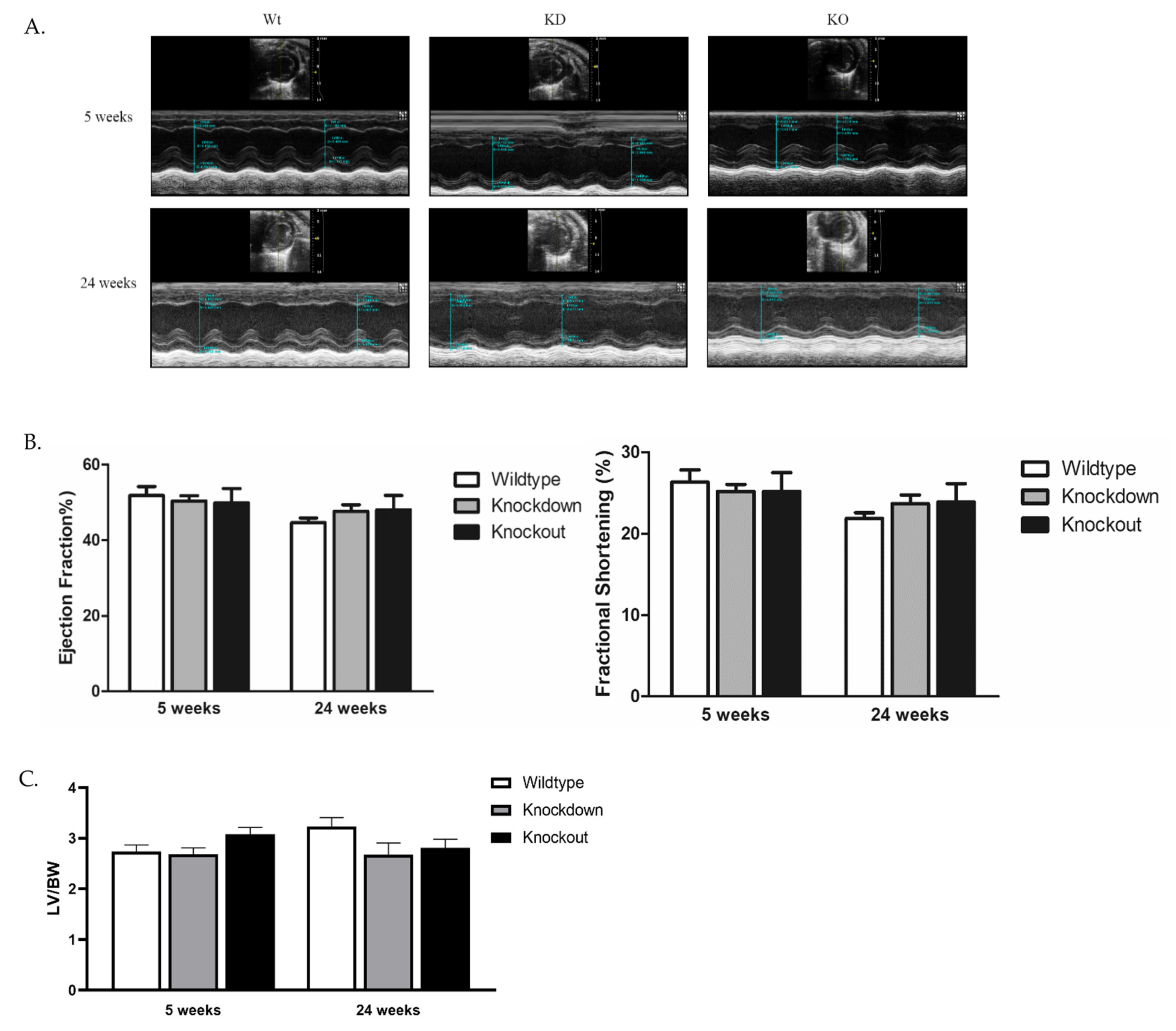 Cardiogenetics 11 00018 g006 550