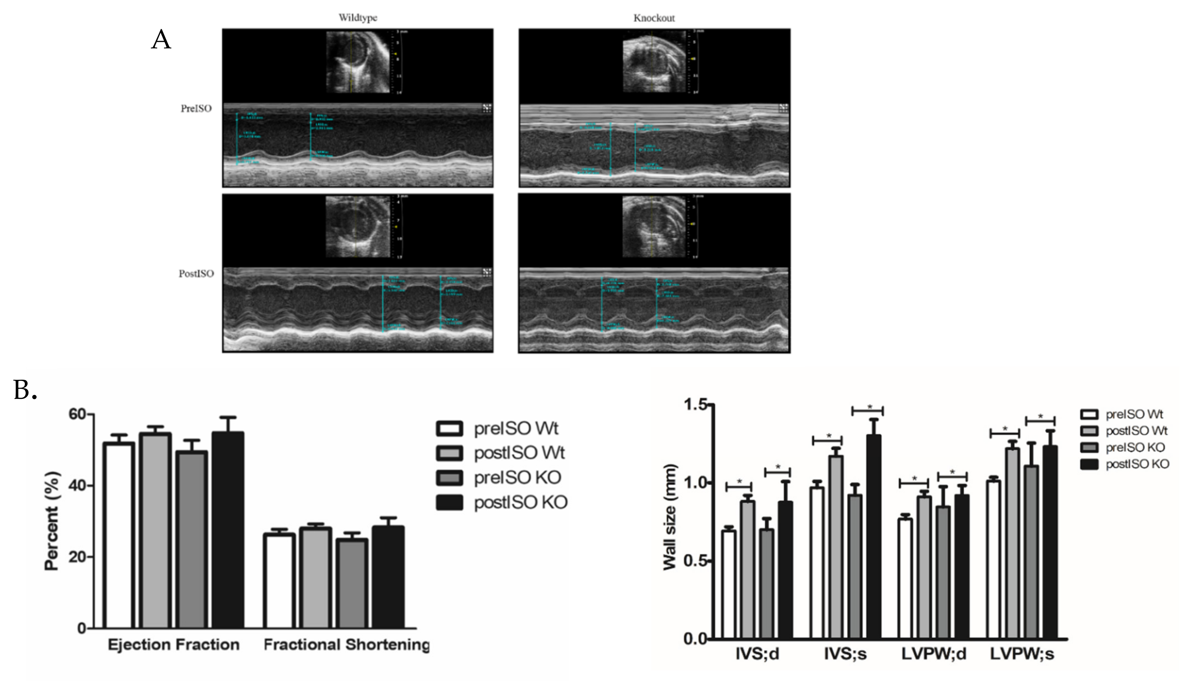 Cardiogenetics 11 00018 g007 550