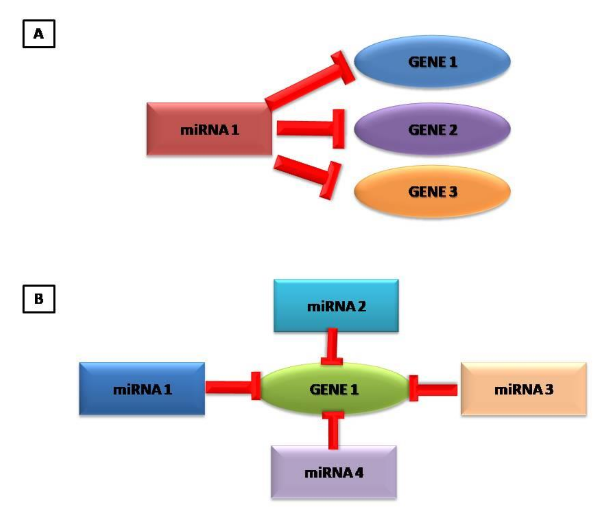 Cardiogenetics 11 00023 g001 Cardiogenetics 11 00023 g001