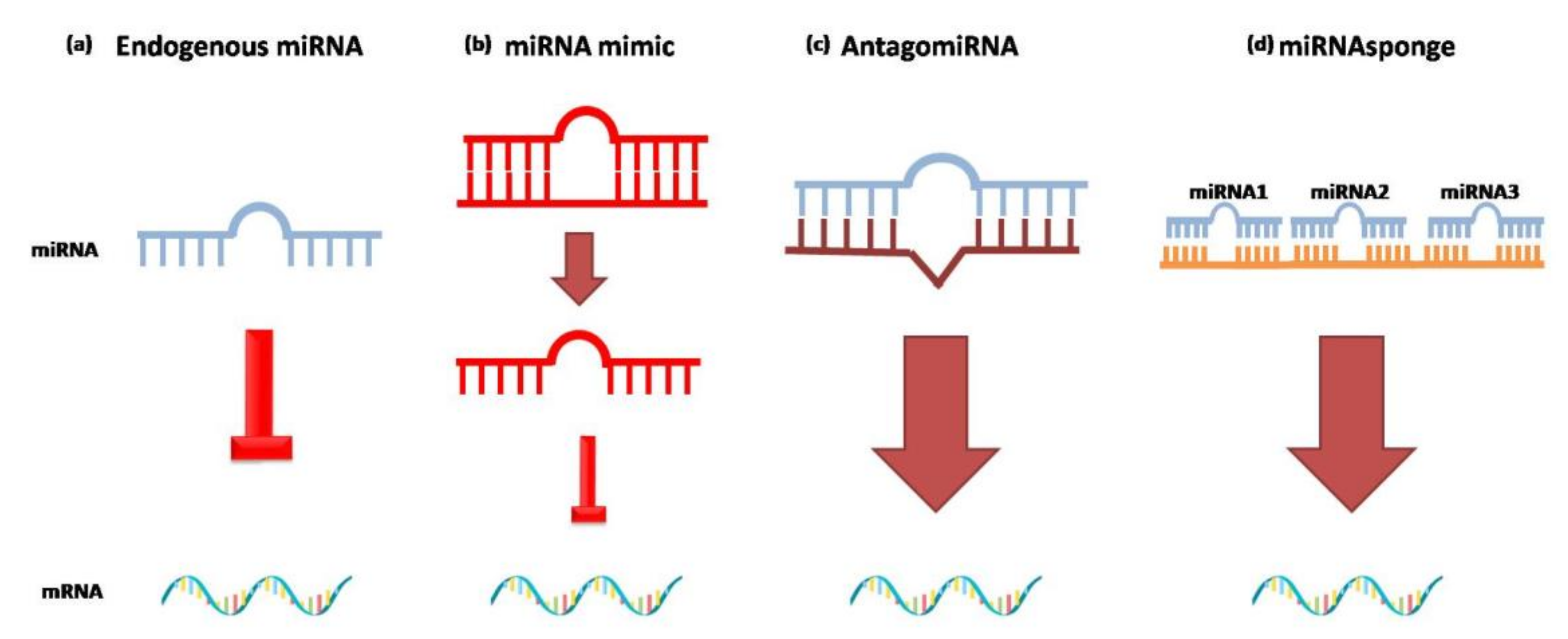 Cardiogenetics 11 00023 g003 Cardiogenetics 11 00023 g003