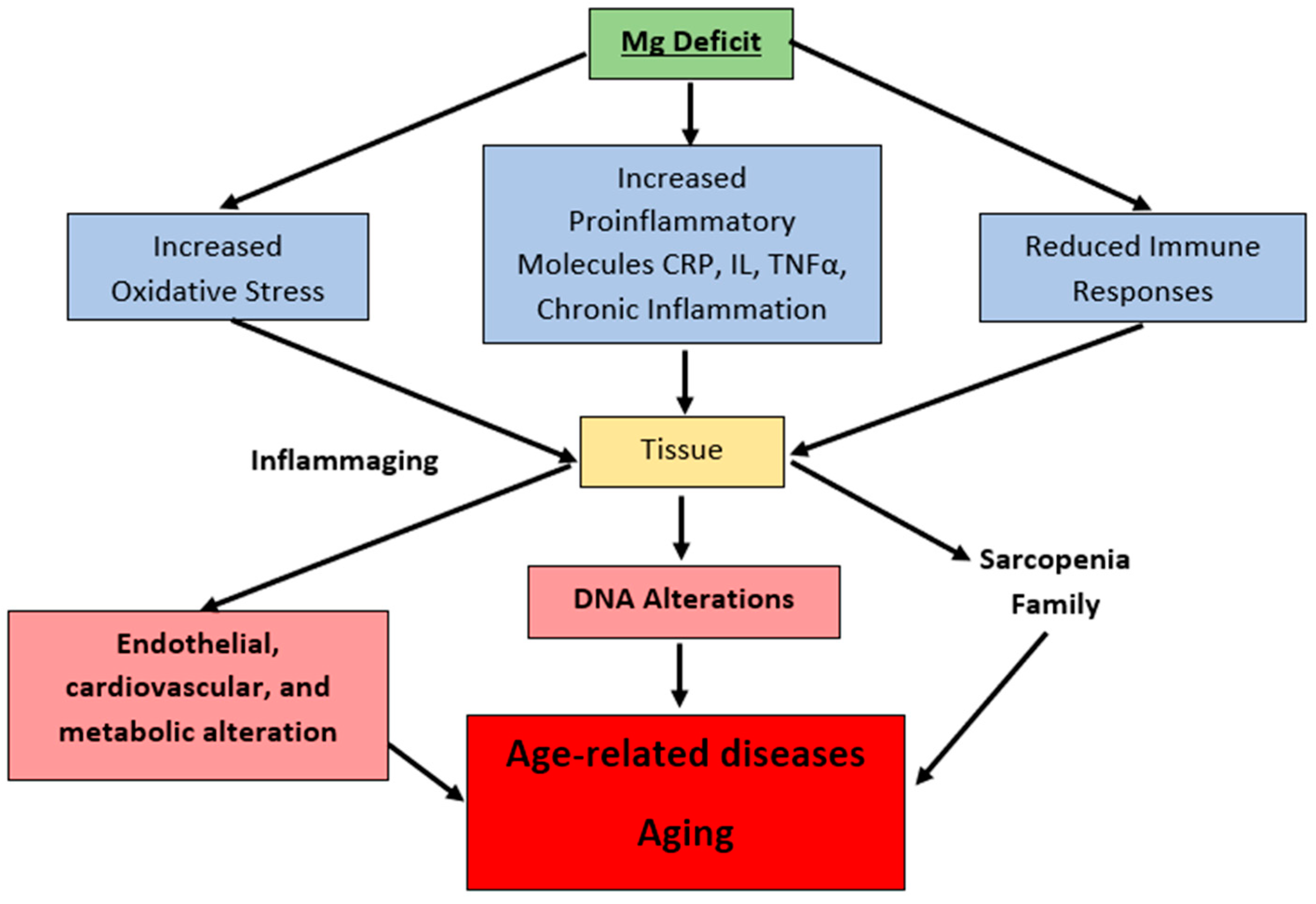Cardiogenetics 12 00005 g007 Cardiogenetics 12 00005 g007