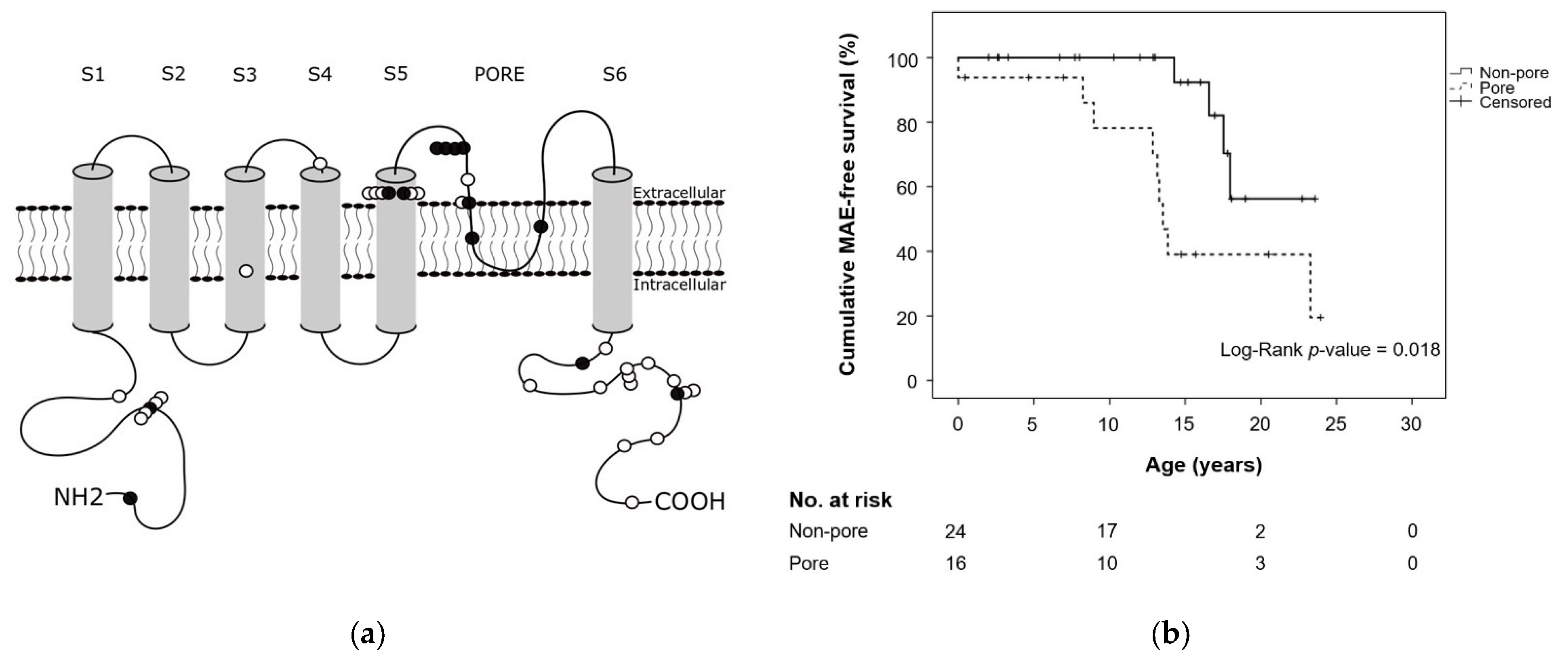 Cardiogenetics 12 00009 g001 550