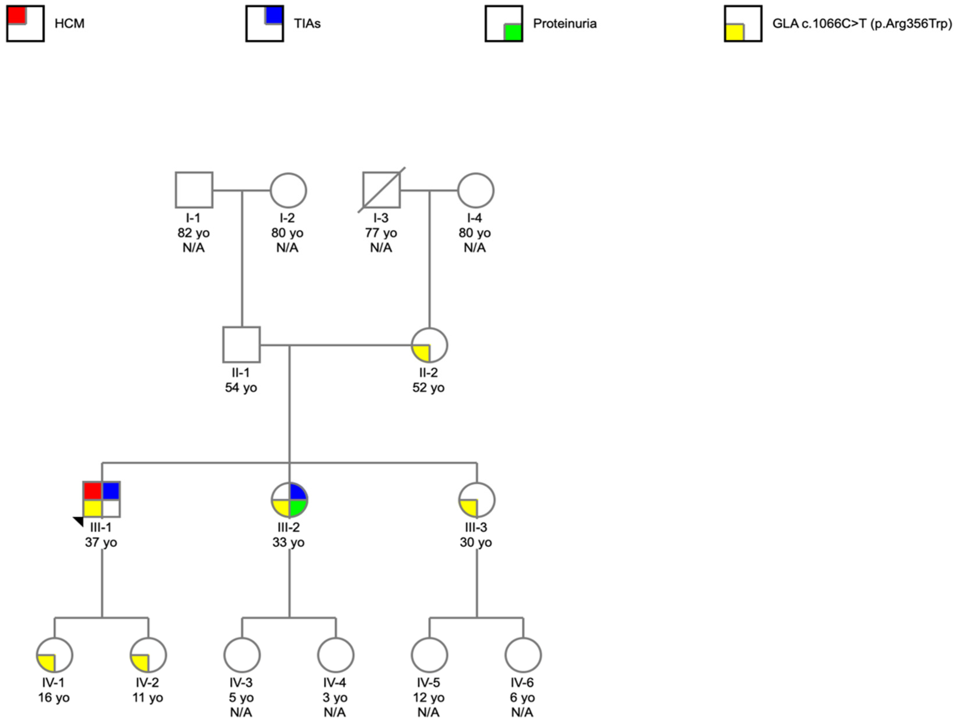 Cardiogenetics 12 00010 g002 550
