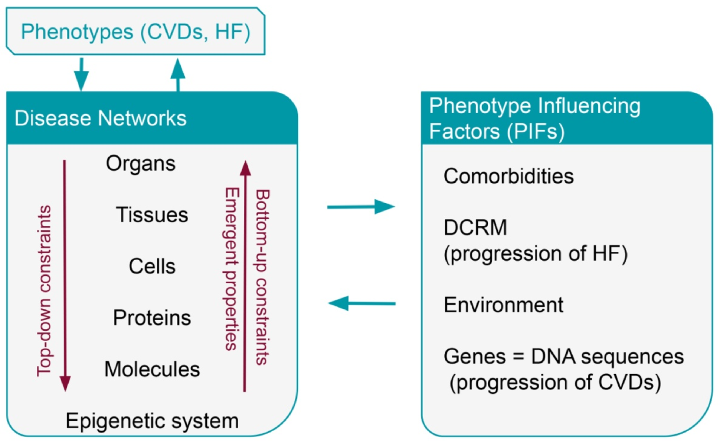 Cardiogenetics 12 00015 g003 Cardiogenetics 12 00015 g003