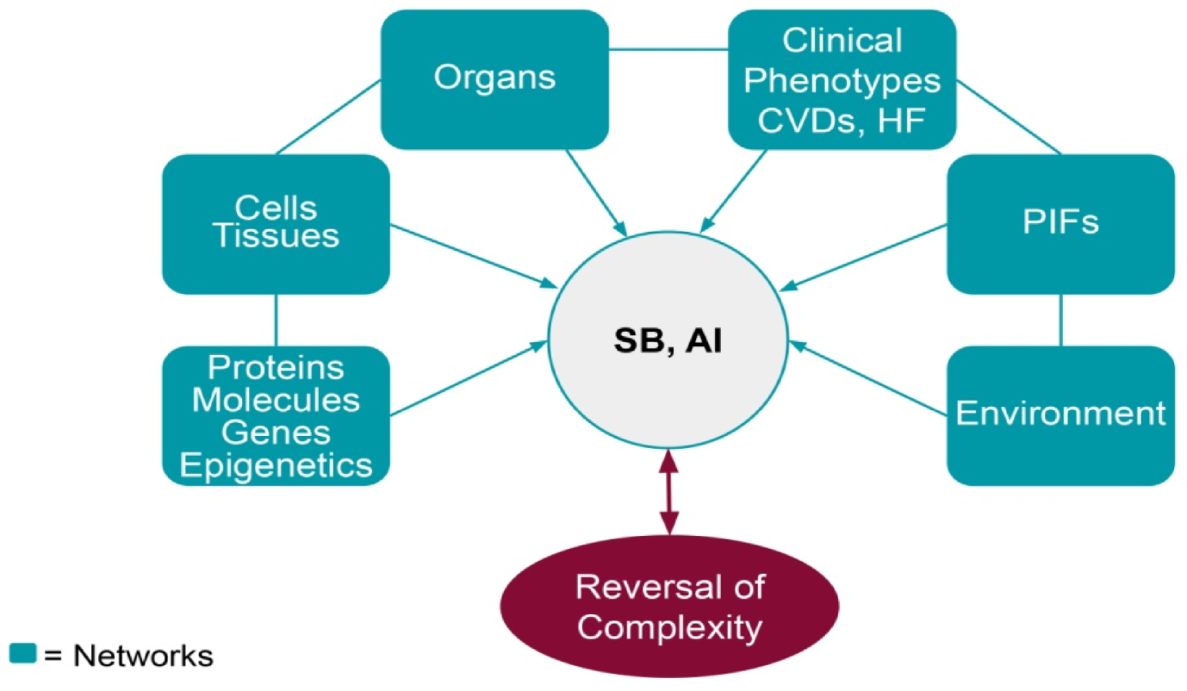 Cardiogenetics 12 00015 g006 Cardiogenetics 12 00015 g006