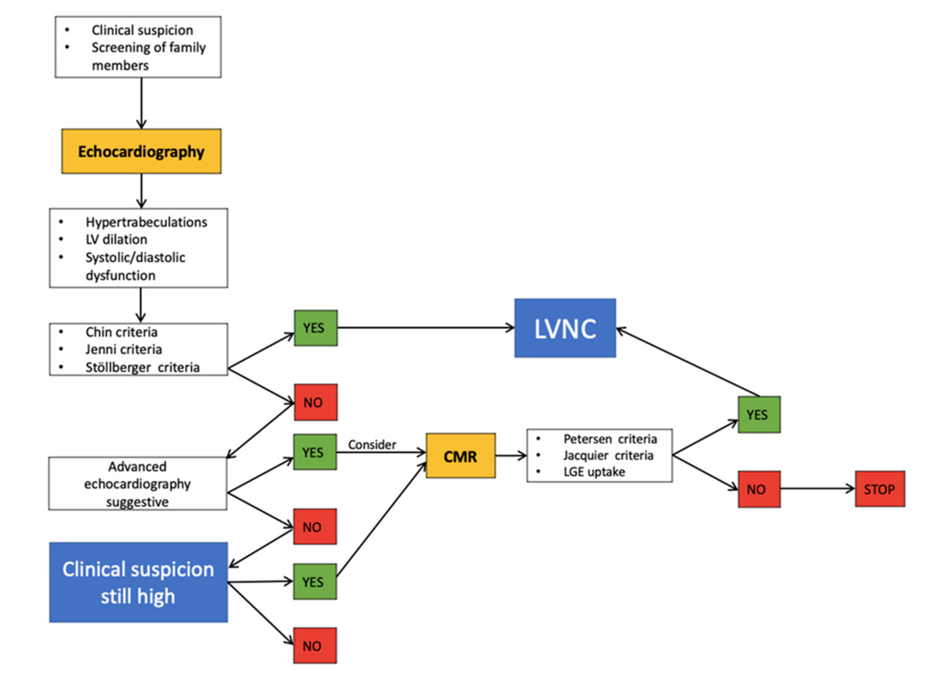 Cardiogenetics 12 00016 g005 Cardiogenetics 12 00016 g005