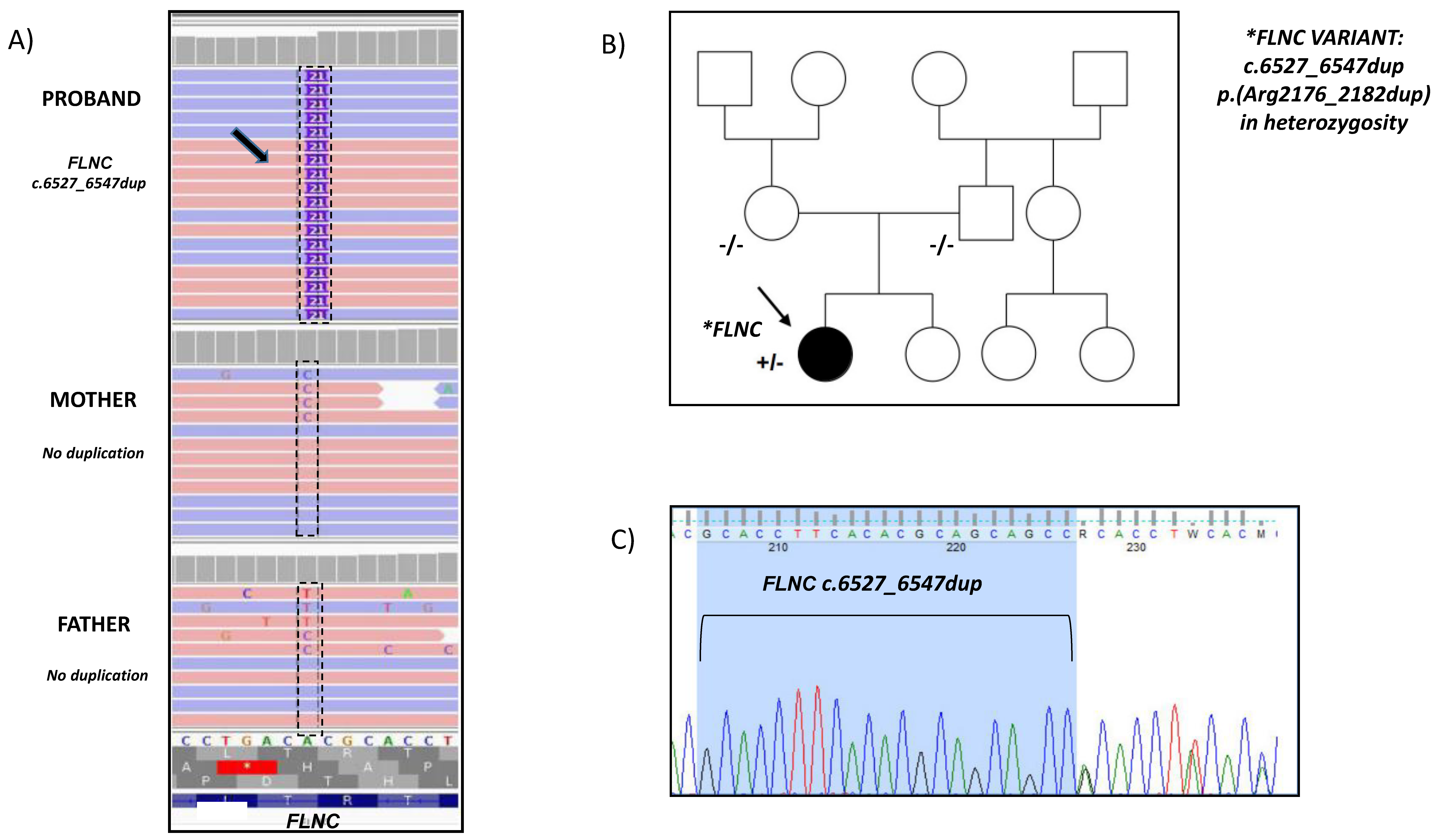 Cardiogenetics 12 00019 g002 550
