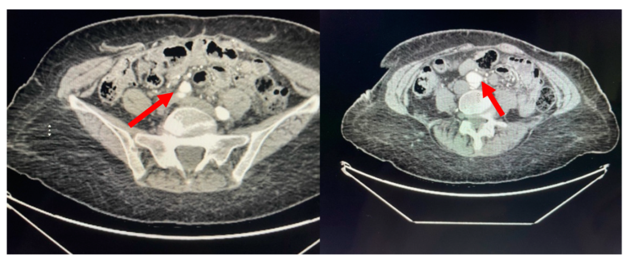 Cardiogenetics 12 00020 g001 550