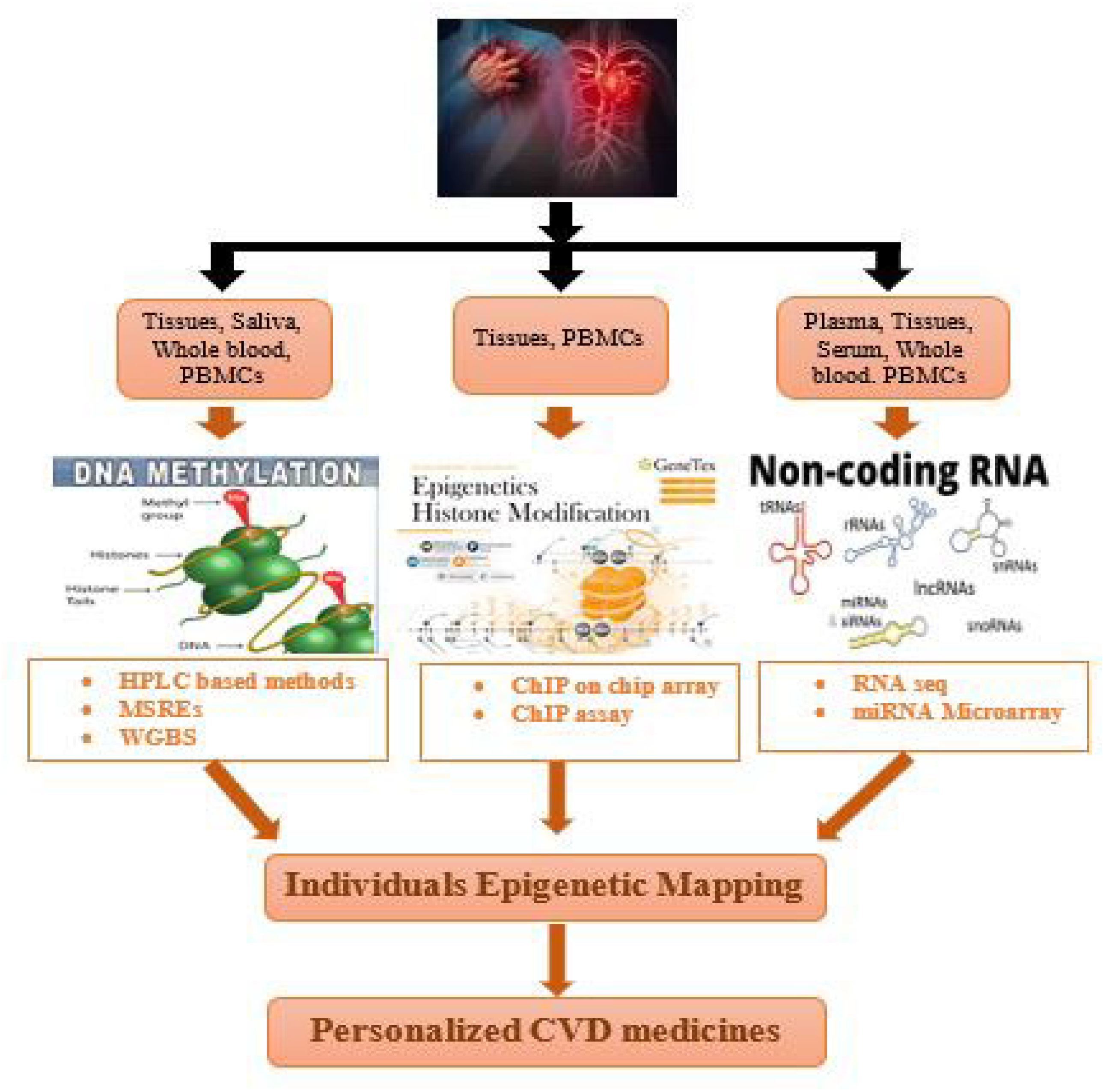 Cardiogenetics 12 00021 g003 Cardiogenetics 12 00021 g003