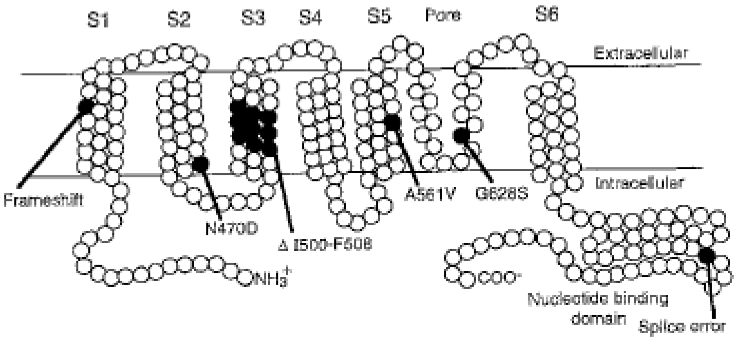 Cardiogenetics 12 00025 g001 550