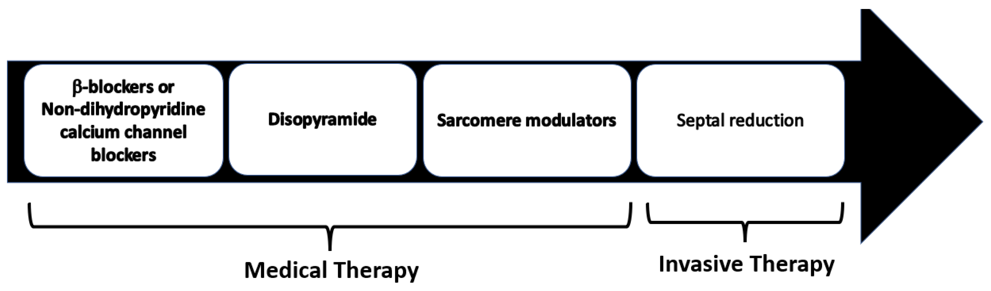 Cardiogenetics 13 00008 g013