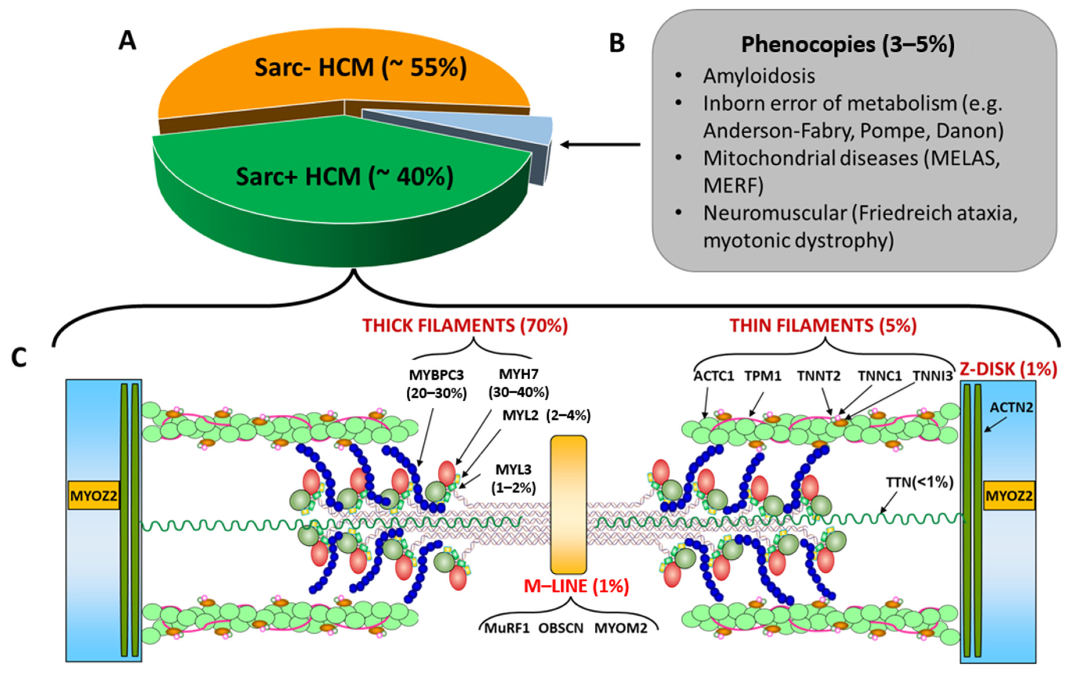 Cardiogenetics 13 00009 g001 Cardiogenetics 13 00009 g001