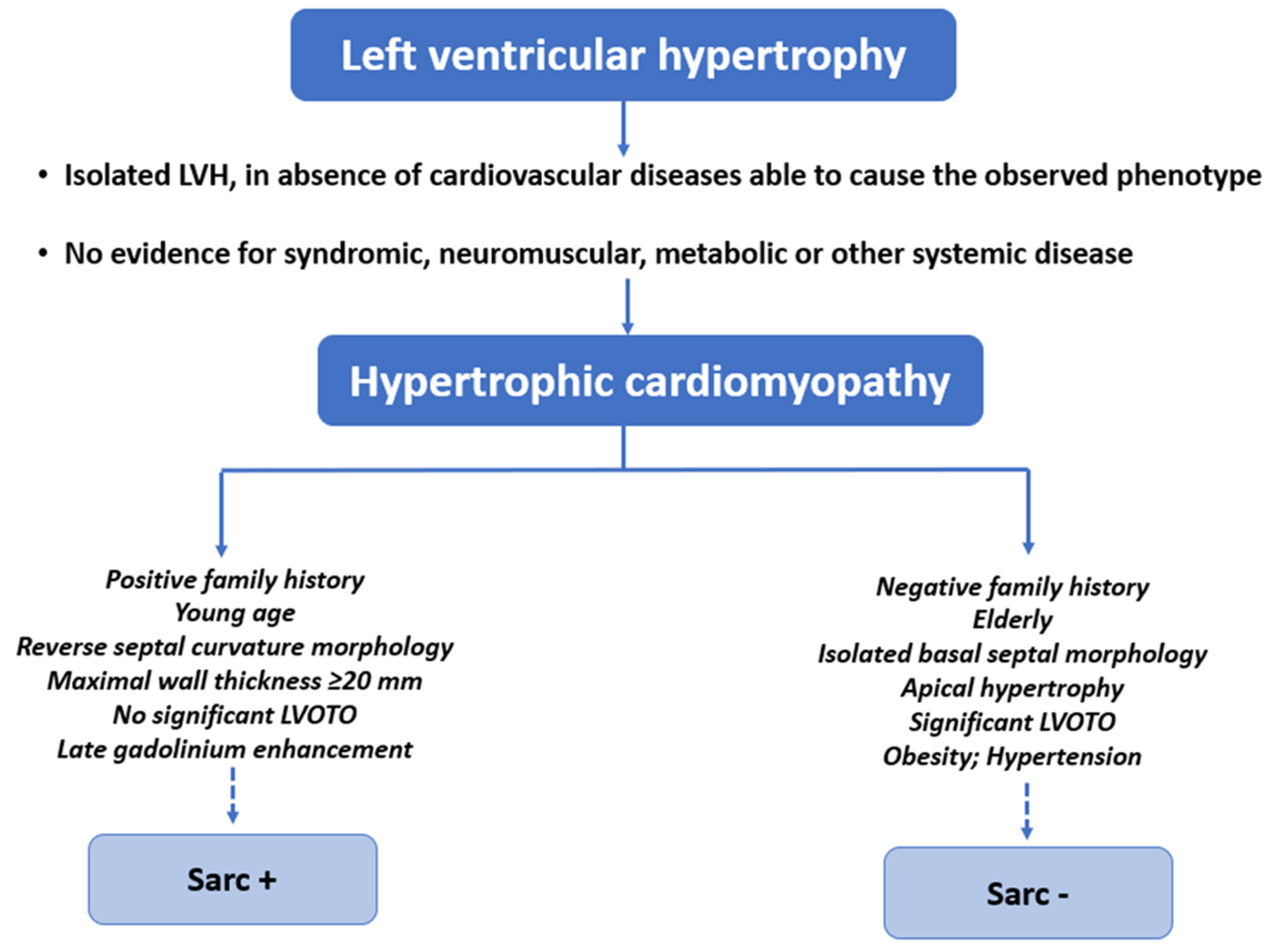 Cardiogenetics 13 00009 g003 Cardiogenetics 13 00009 g003