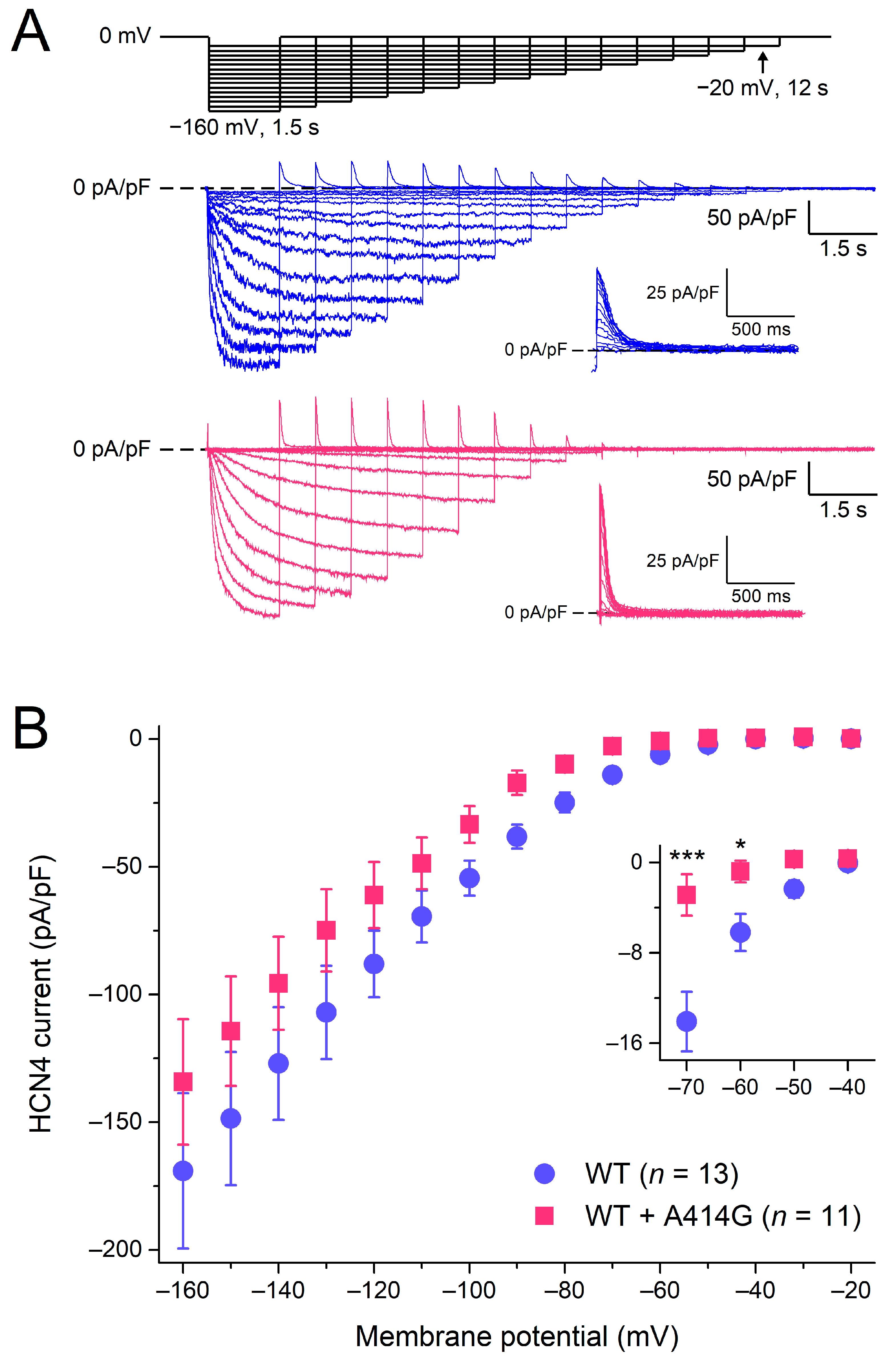 Cardiogenetics 13 00012 g002 Cardiogenetics 13 00012 g002