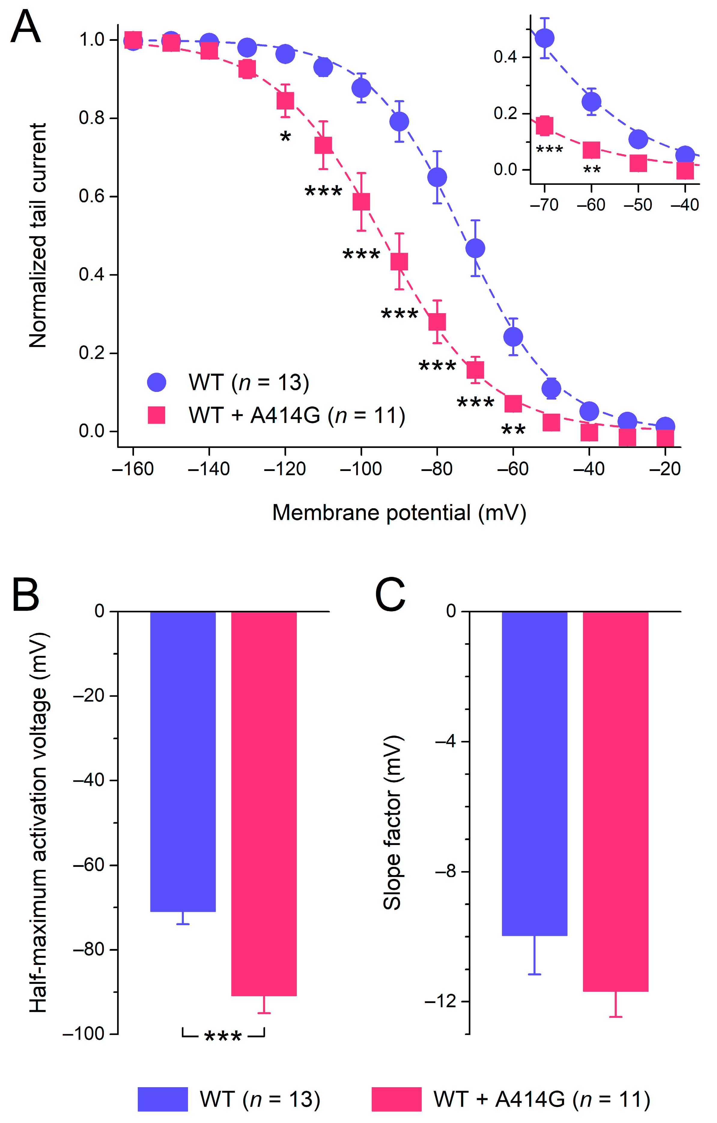 Cardiogenetics 13 00012 g003 Cardiogenetics 13 00012 g003