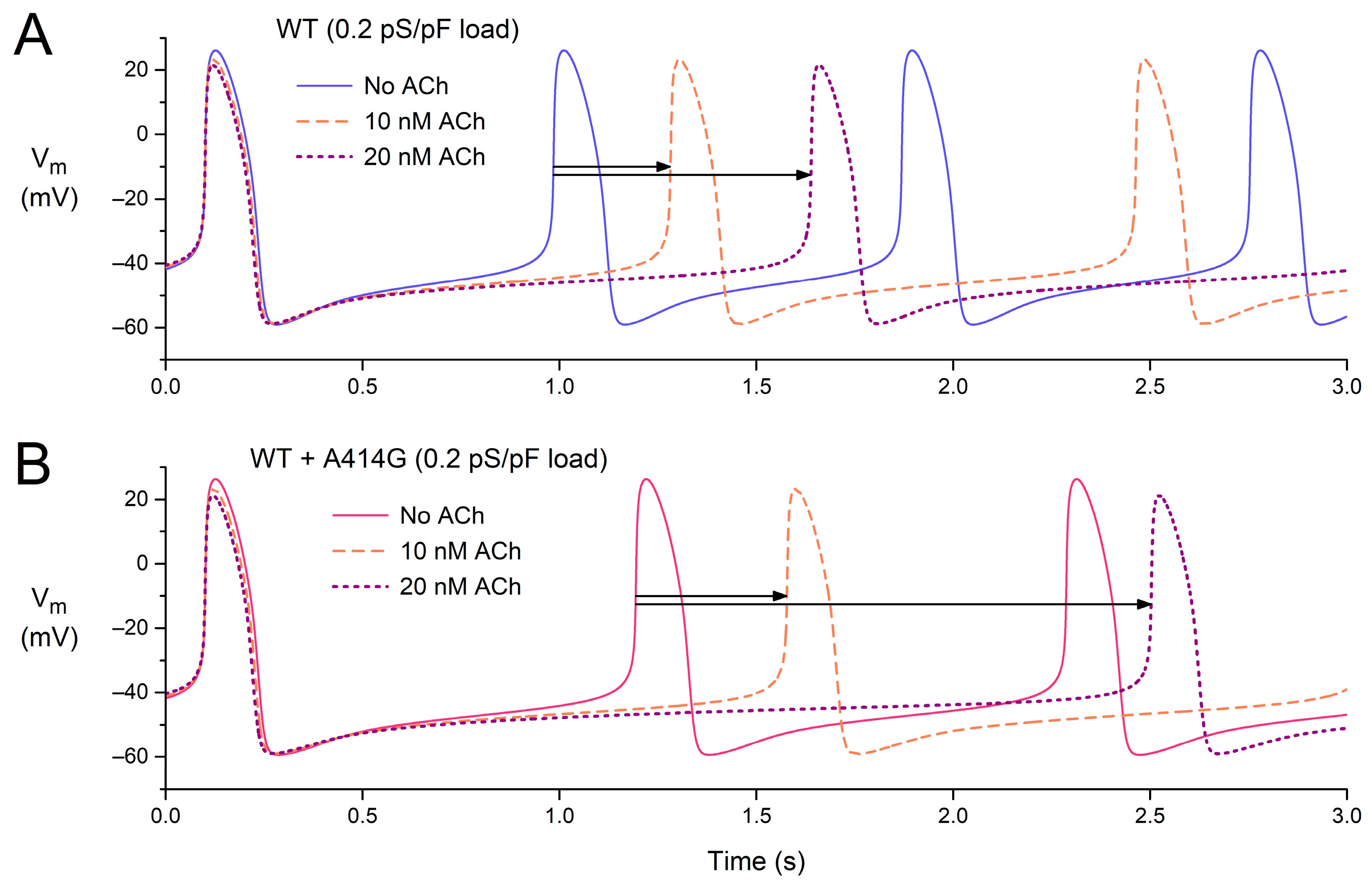 Cardiogenetics 13 00012 g009 Cardiogenetics 13 00012 g009