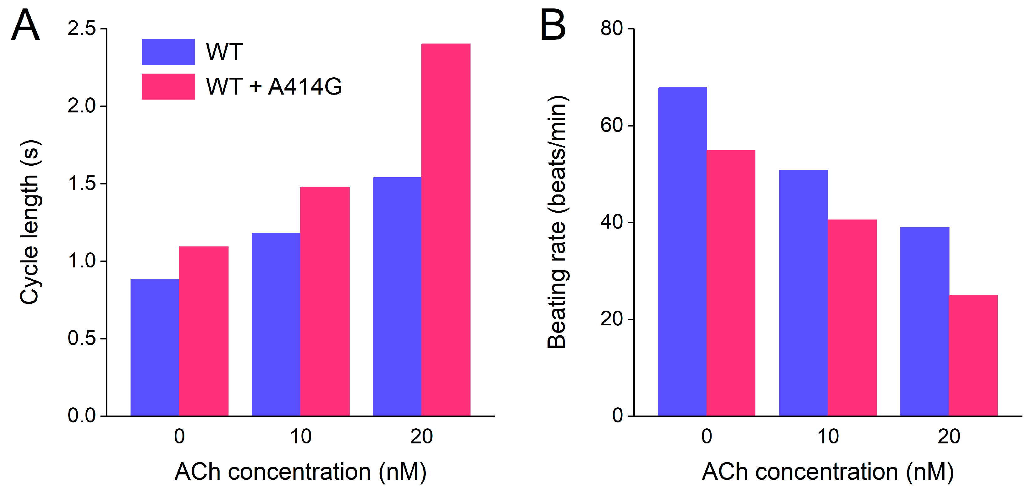 Cardiogenetics 13 00012 g010 Cardiogenetics 13 00012 g010