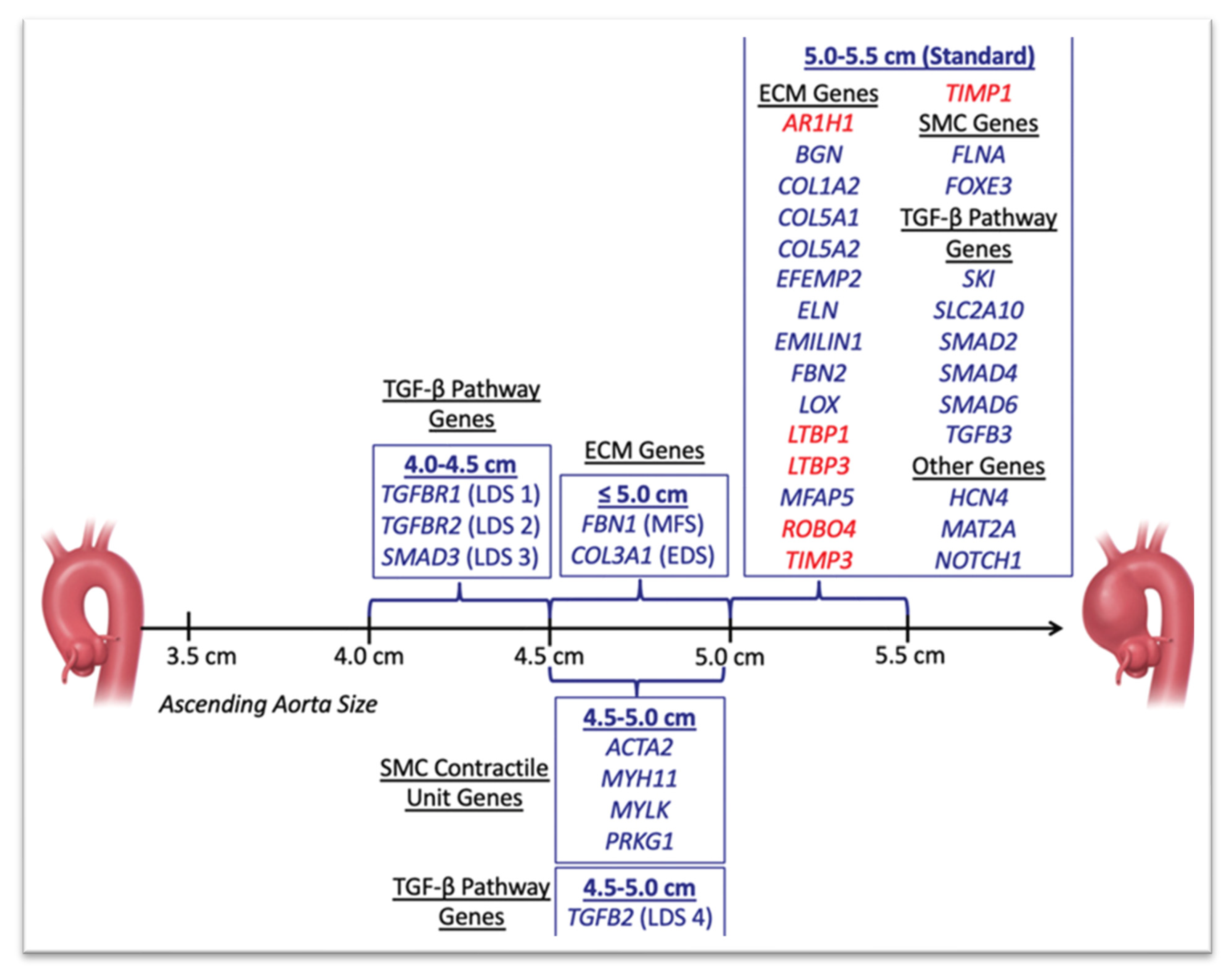 Cardiogenetics 13 00015 g002