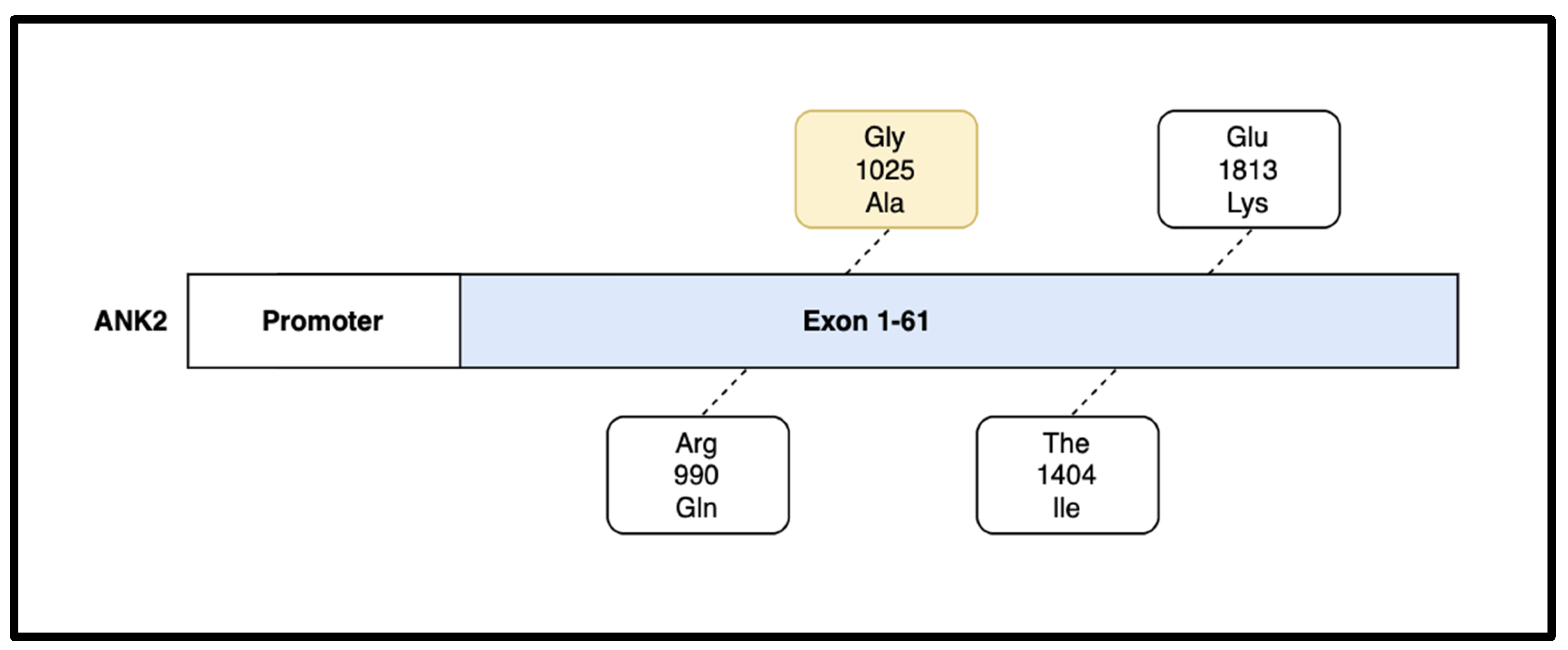Cardiogenetics 14 00007 g004