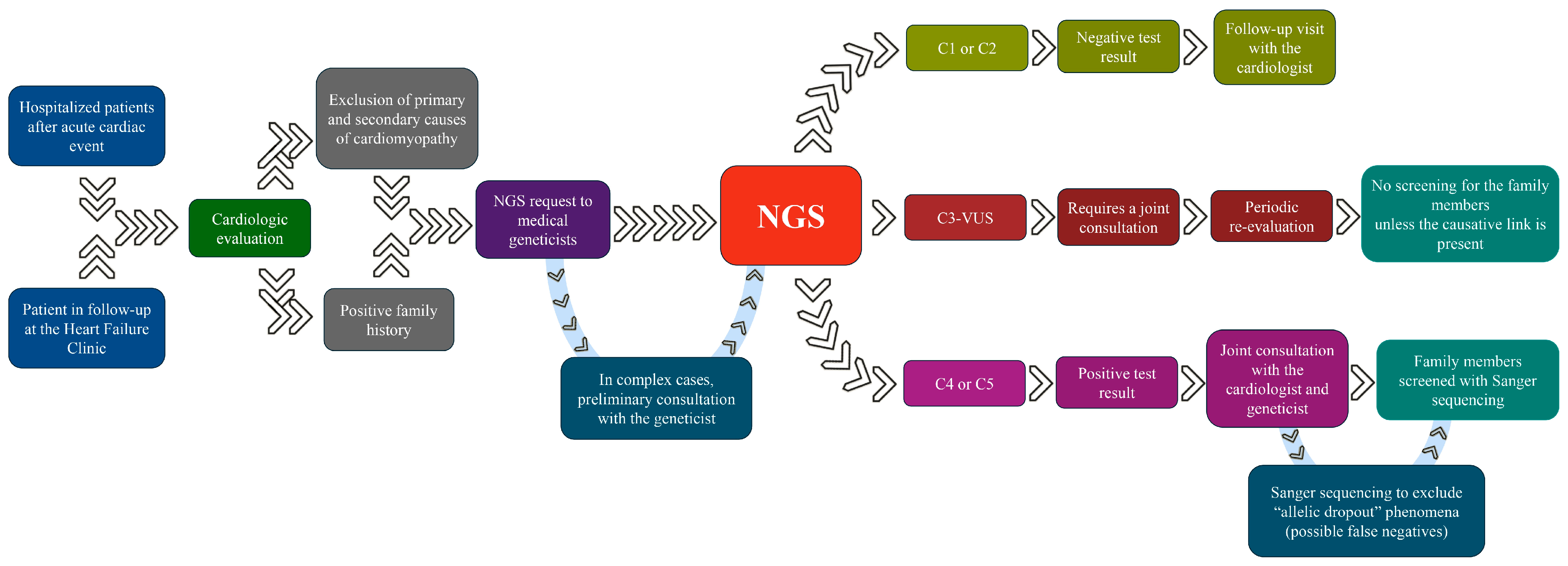 Cardiogenetics 14 00010 g001
