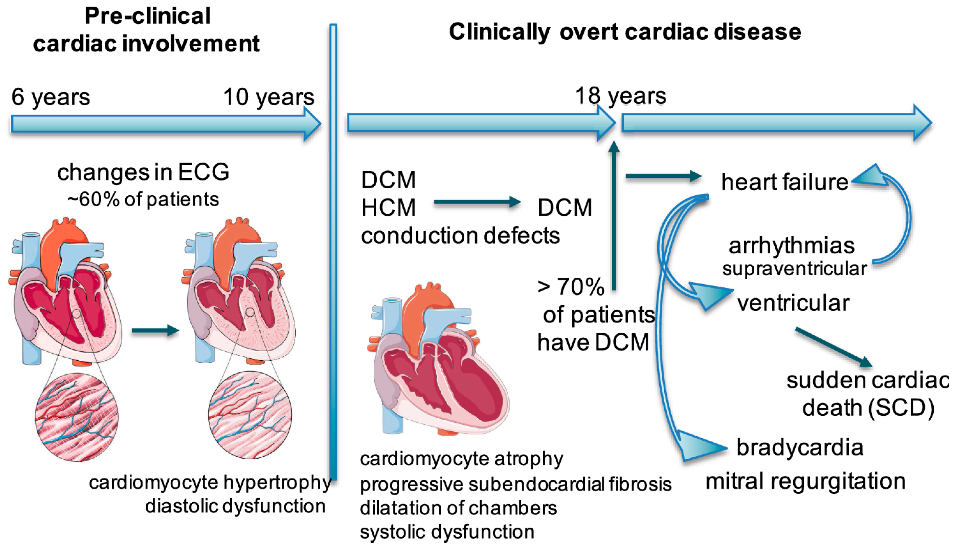 Cardiogenetics 15 00007 g001