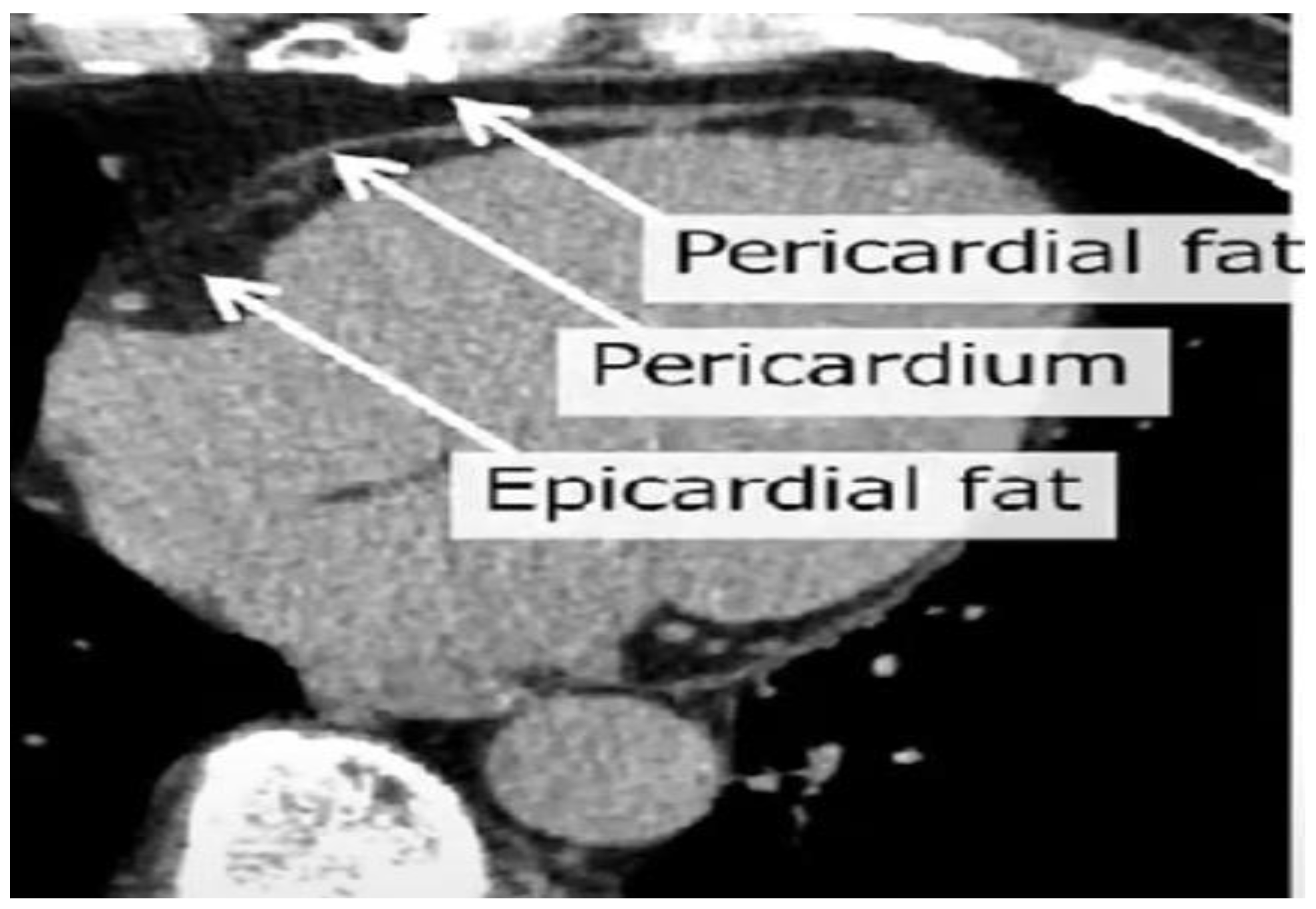 Cardiogenetics 15 00008 g002 Cardiogenetics 15 00008 g002