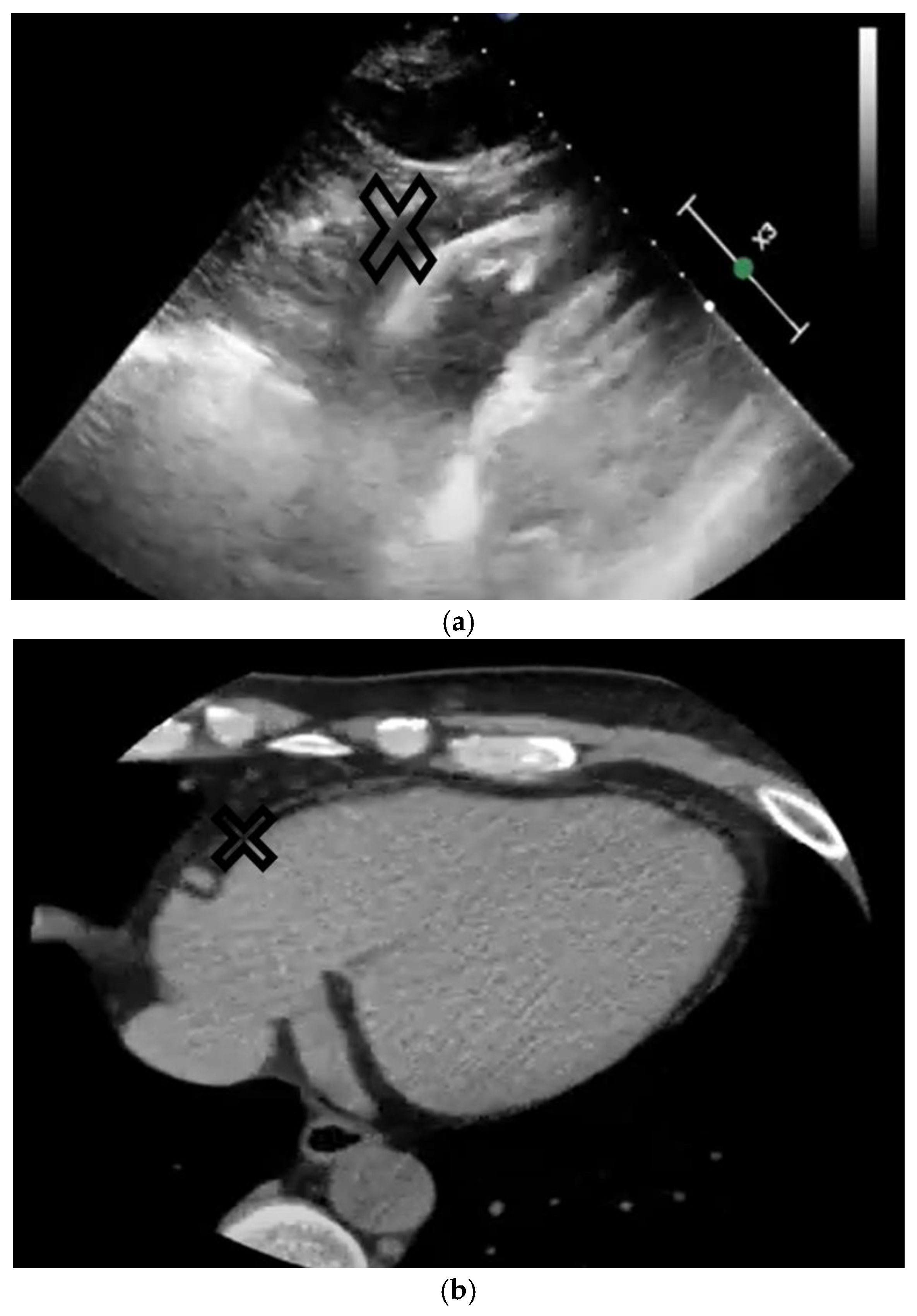 Cardiogenetics 15 00008 g003 Cardiogenetics 15 00008 g003