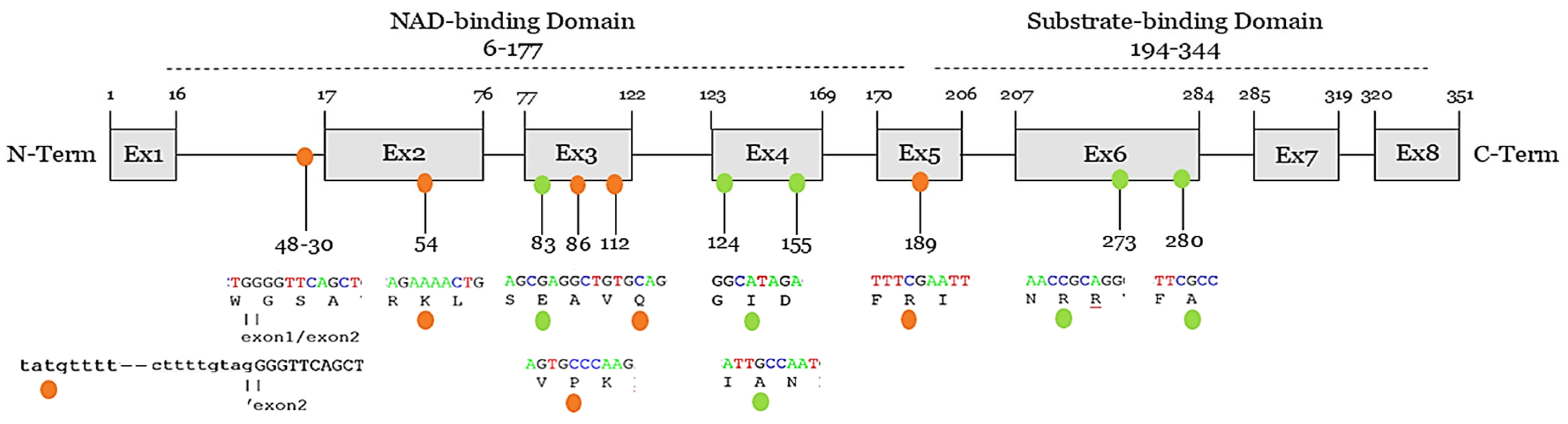 Cardiogenetics 15 00009 g001
