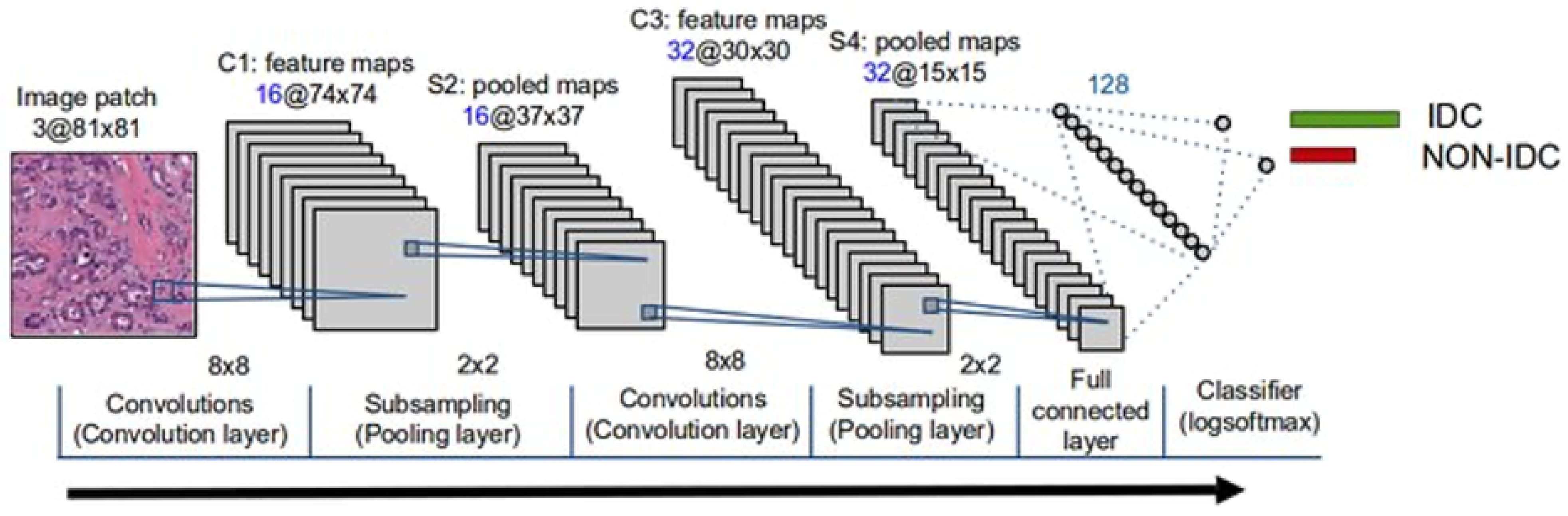 Cardiogenetics 15 00019 g006