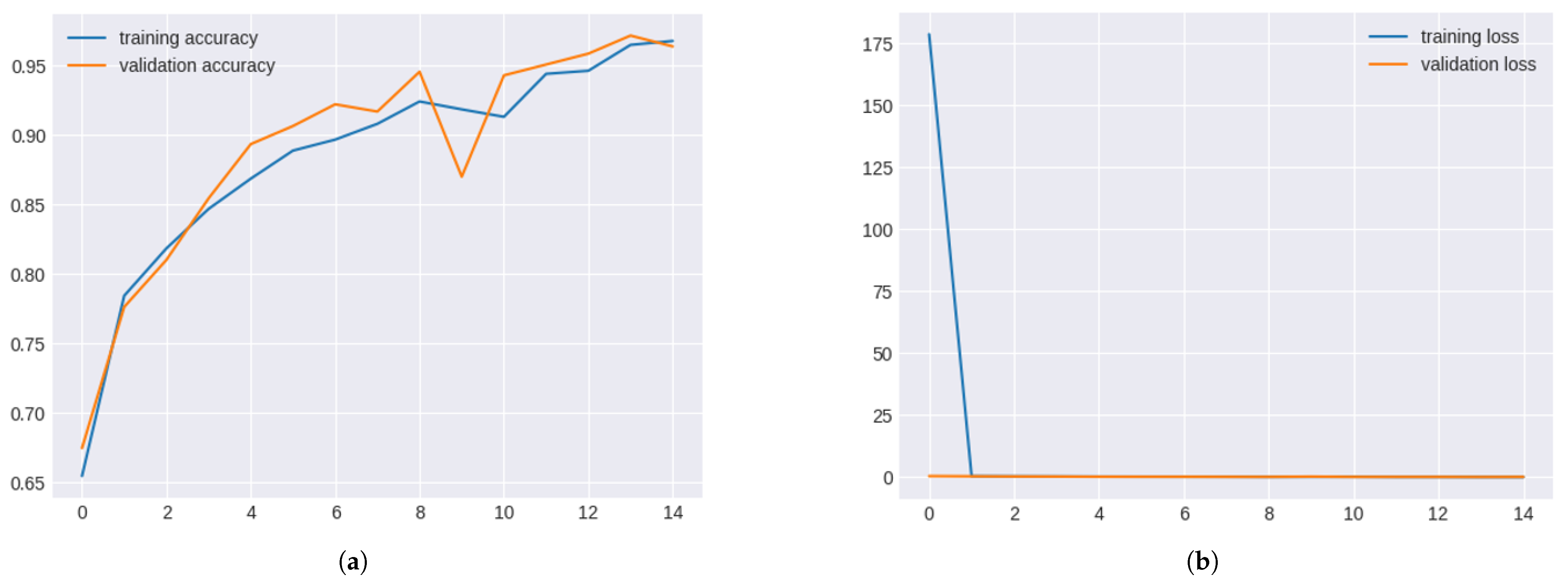 Cardiogenetics 15 00019 g010