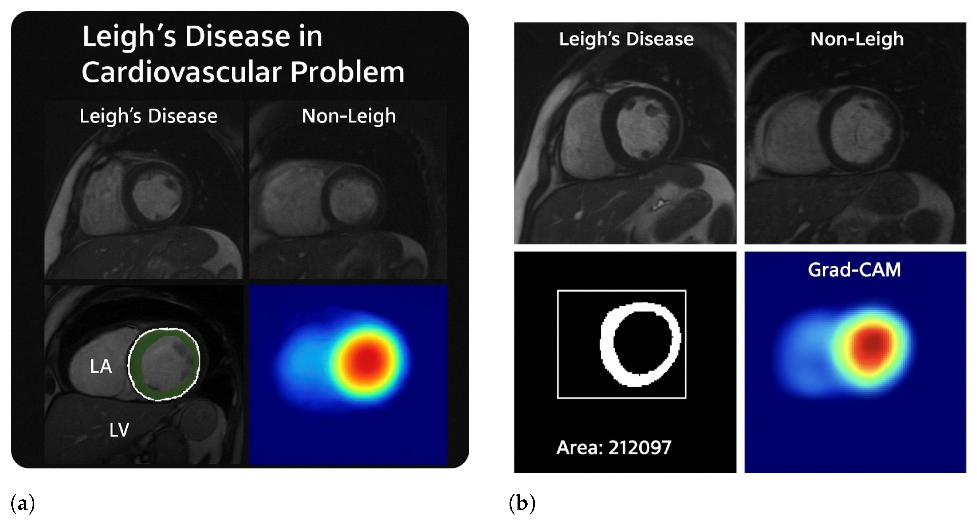 Cardiogenetics 15 00019 g016
