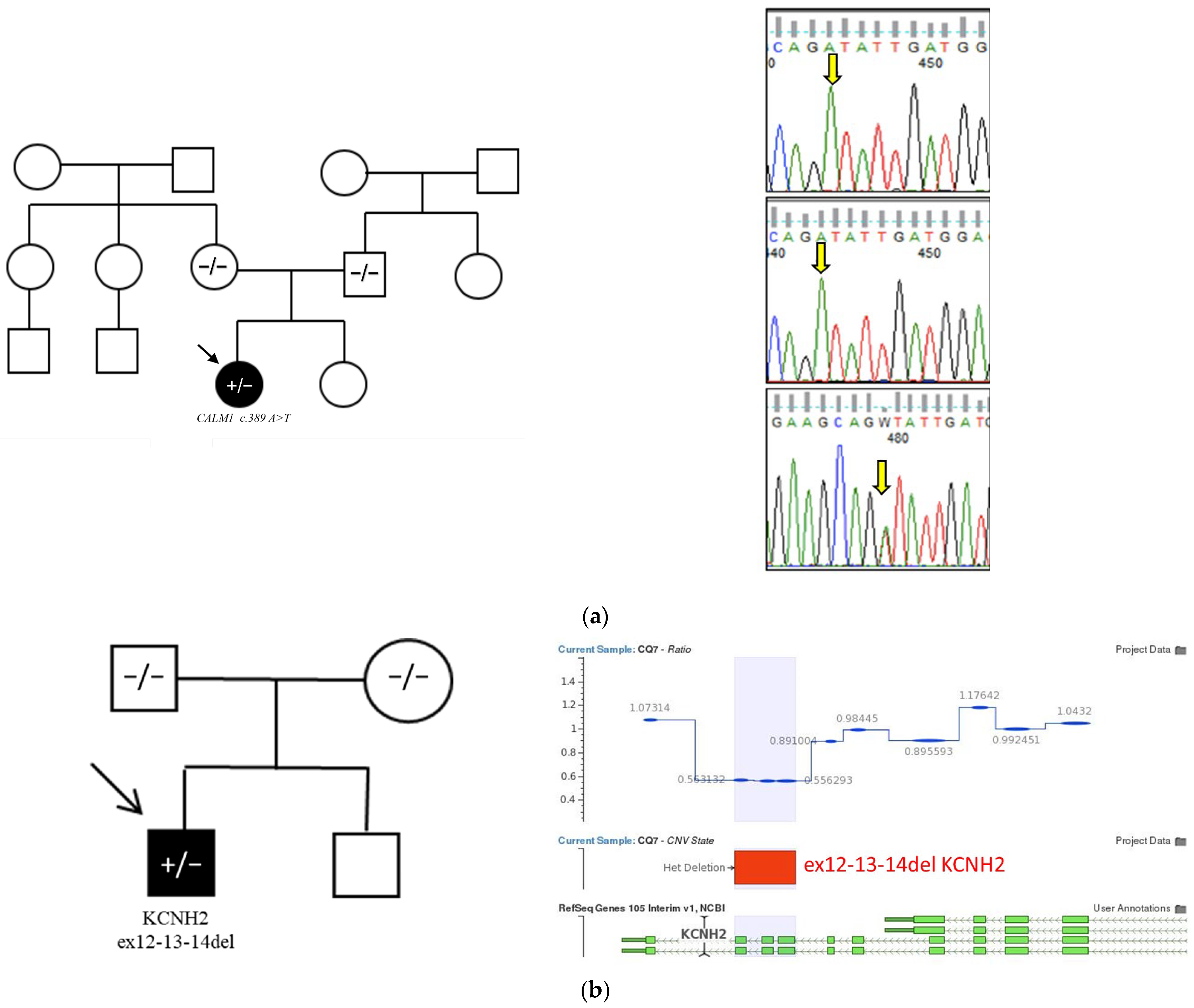 Cardiogenetics 15 00025 g004 Cardiogenetics 15 00025 g004