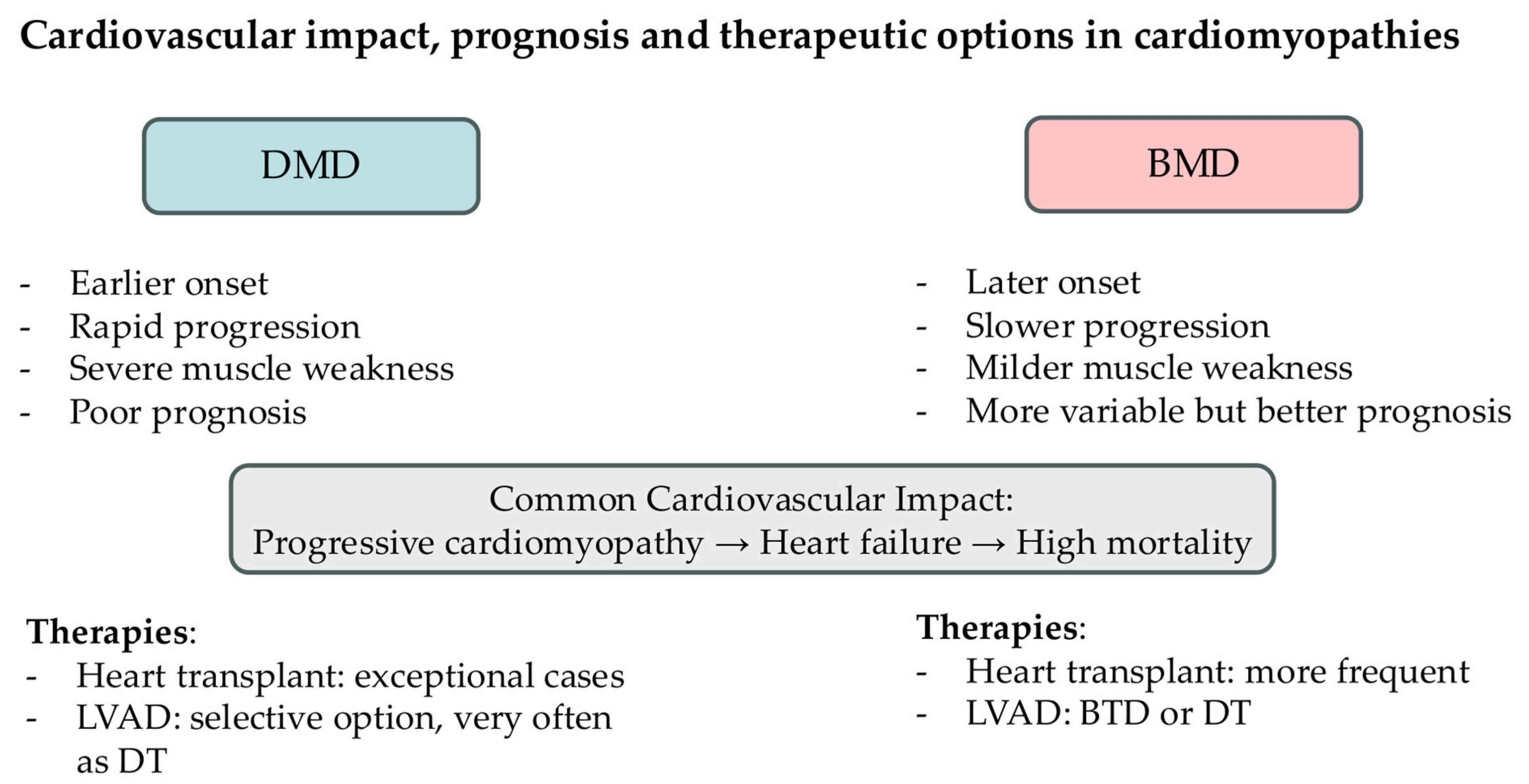 Cardiogenetics 15 00026 g002 Cardiogenetics 15 00026 g002