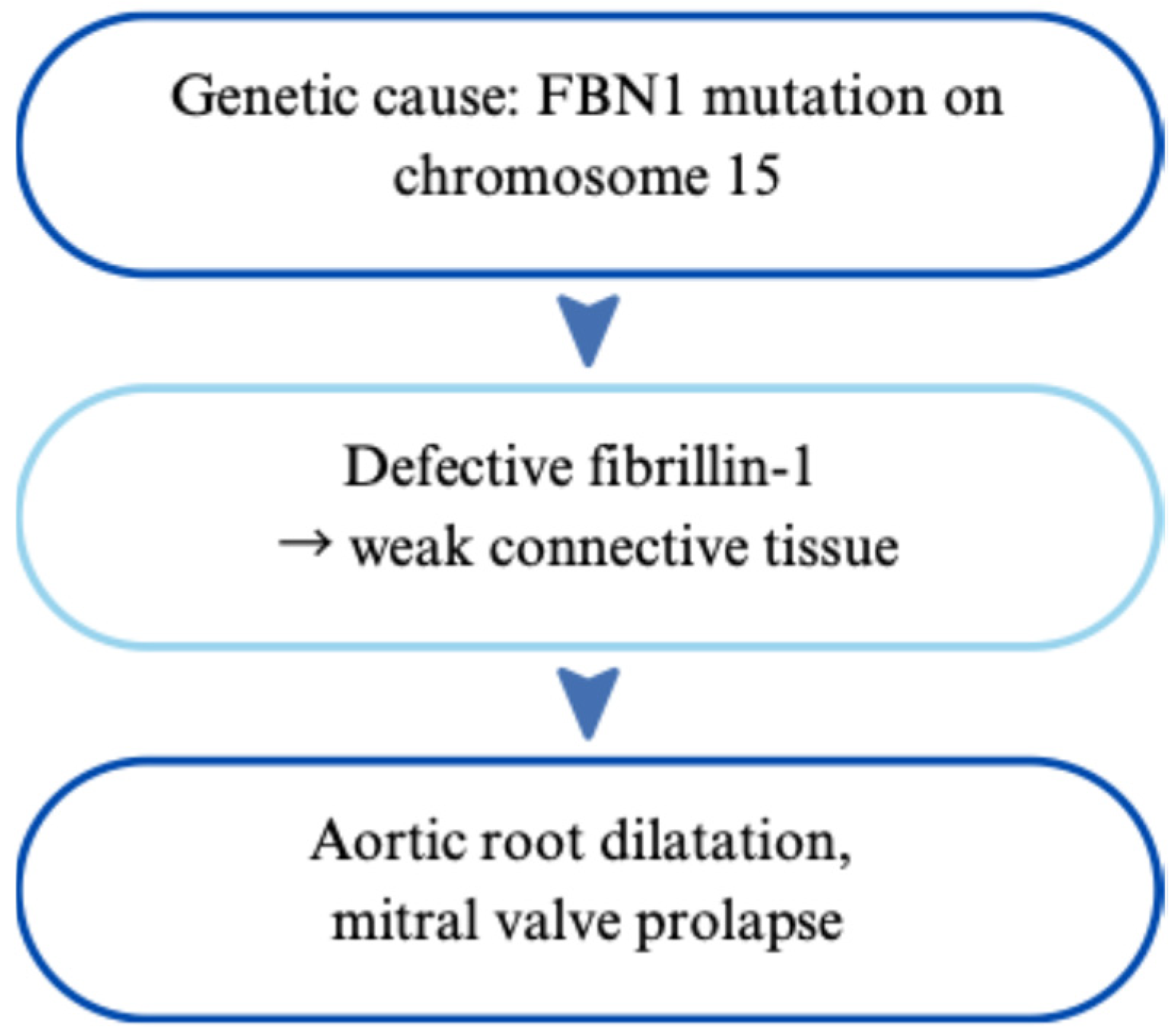 Cardiogenetics 15 00029 g001