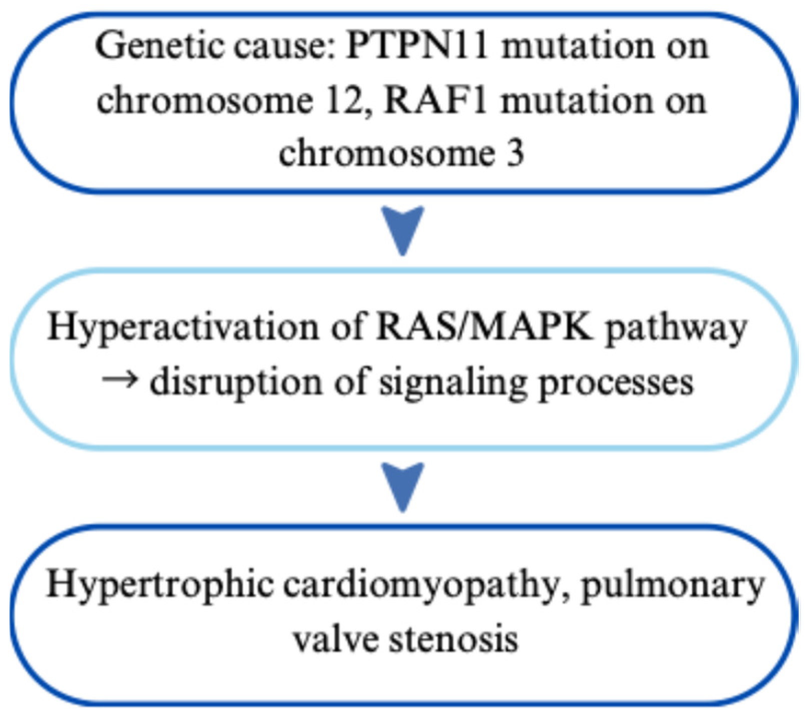 Cardiogenetics 15 00029 g003