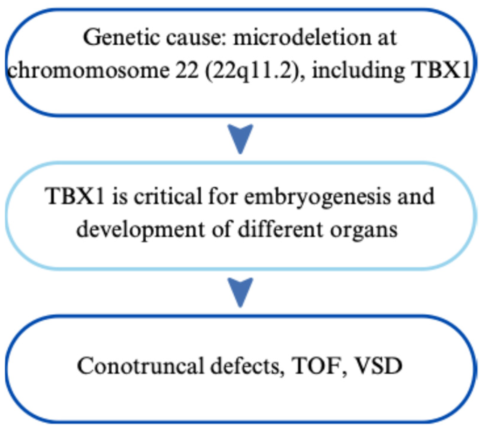 Cardiogenetics 15 00029 g004