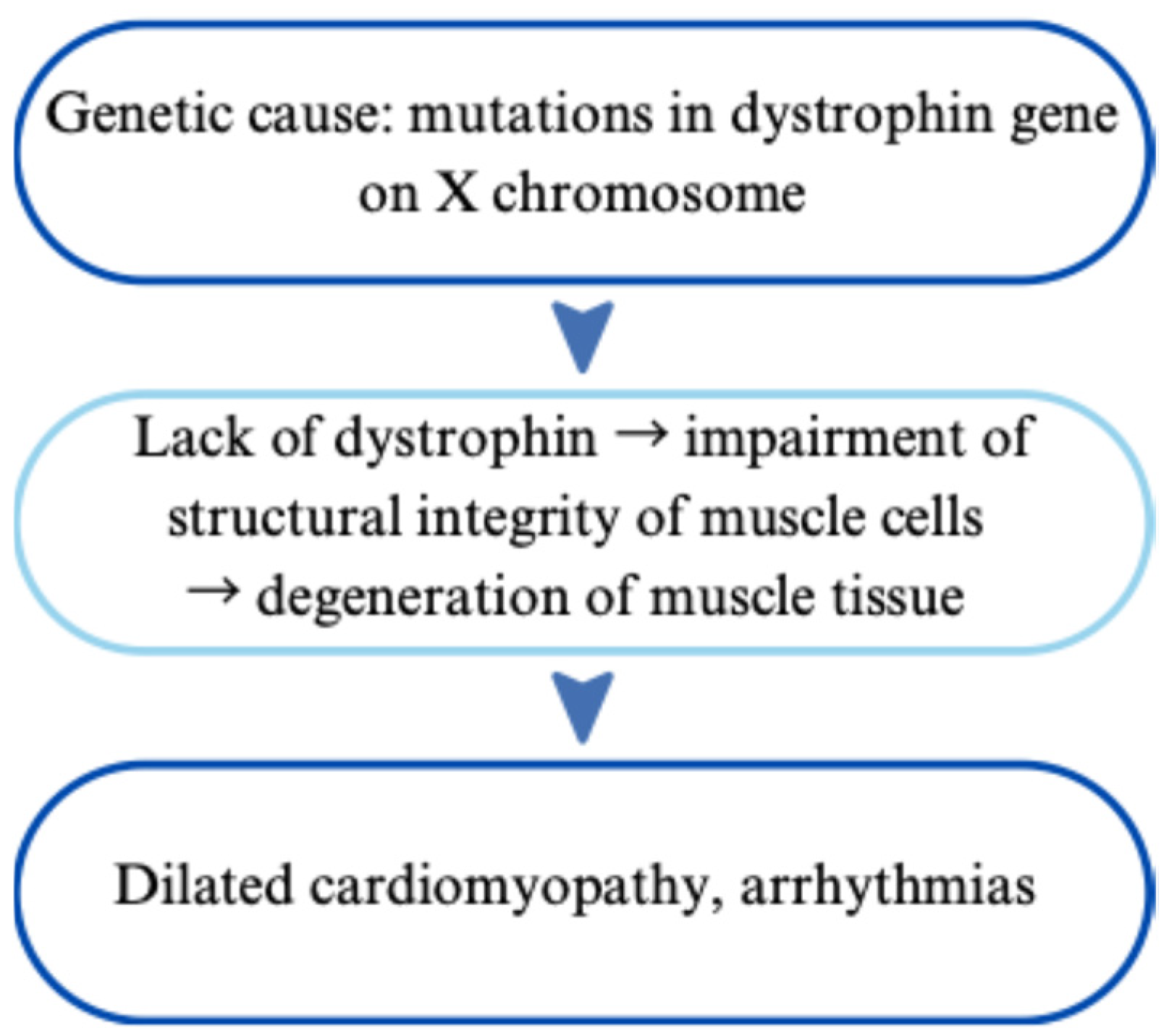 Cardiogenetics 15 00029 g005