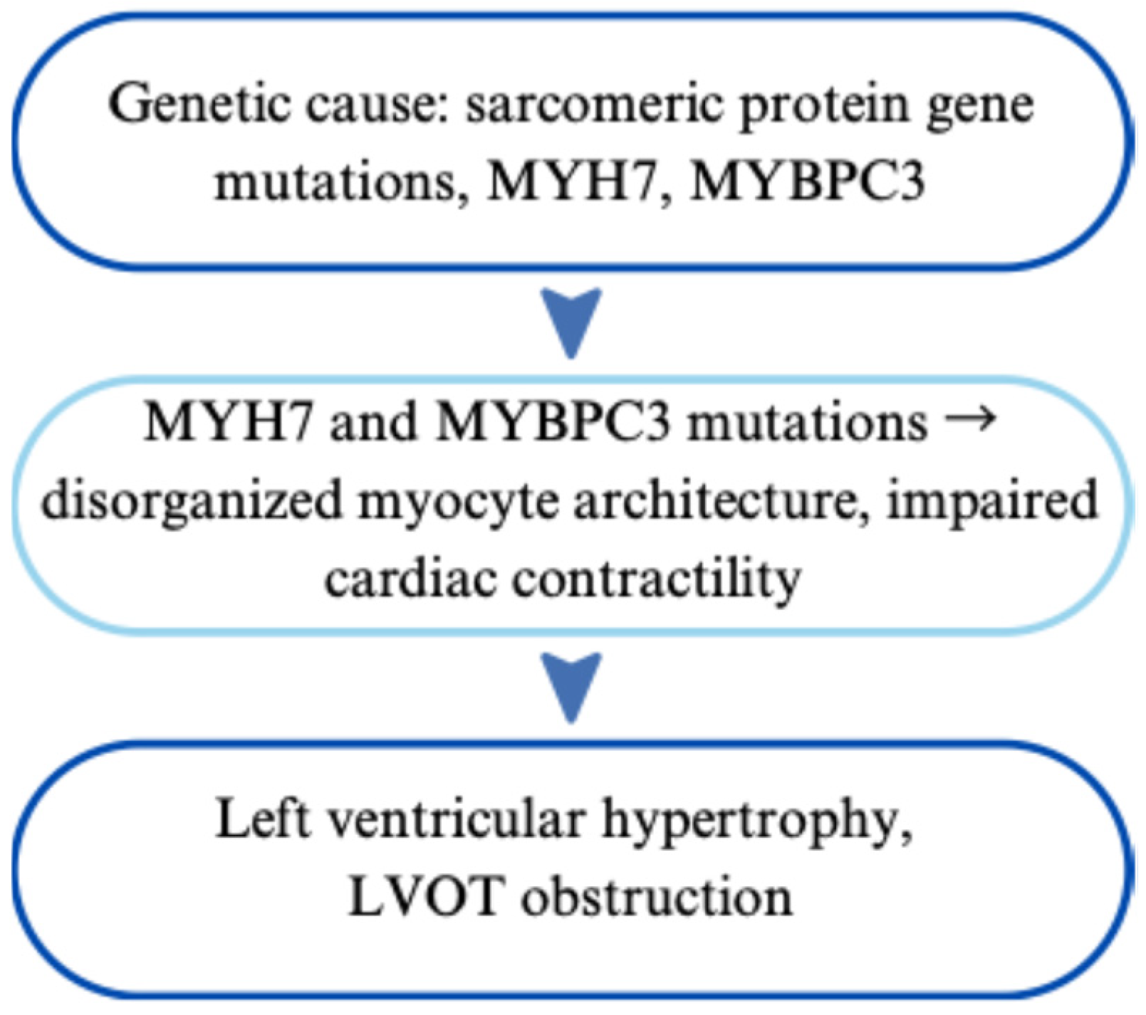 Cardiogenetics 15 00029 g006