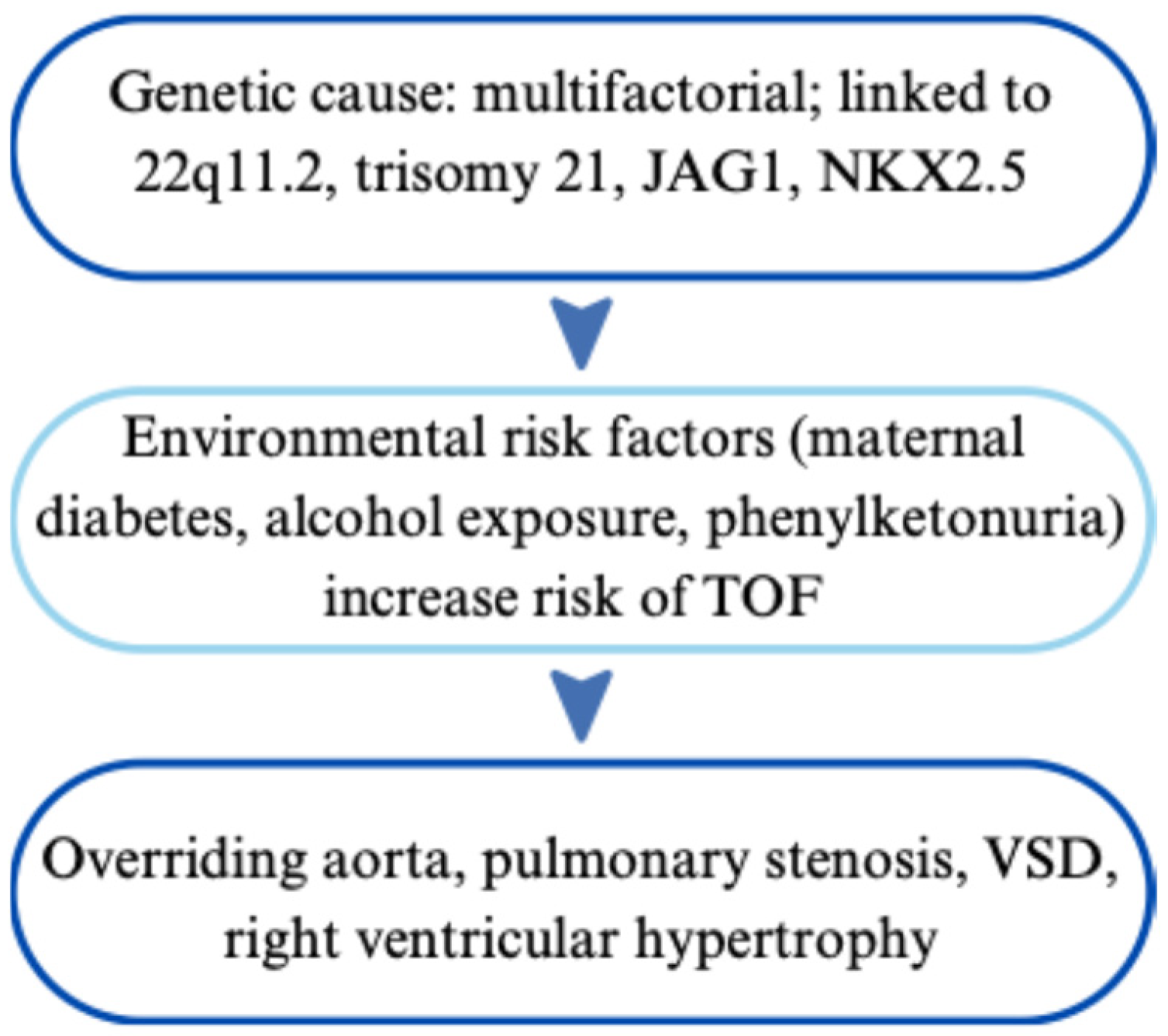 Cardiogenetics 15 00029 g007