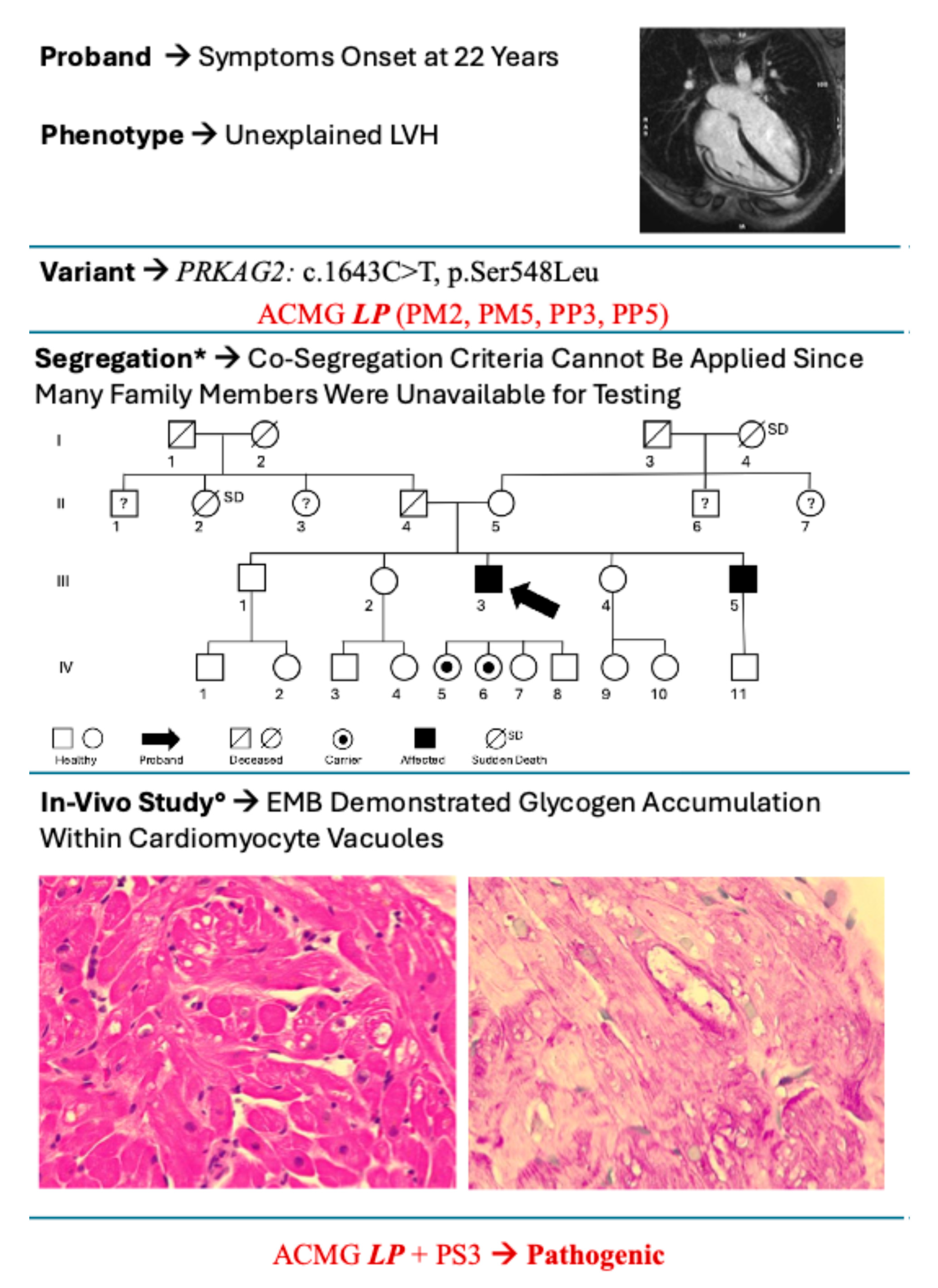 Cardiogenetics 15 00030 g001 Cardiogenetics 15 00030 g001