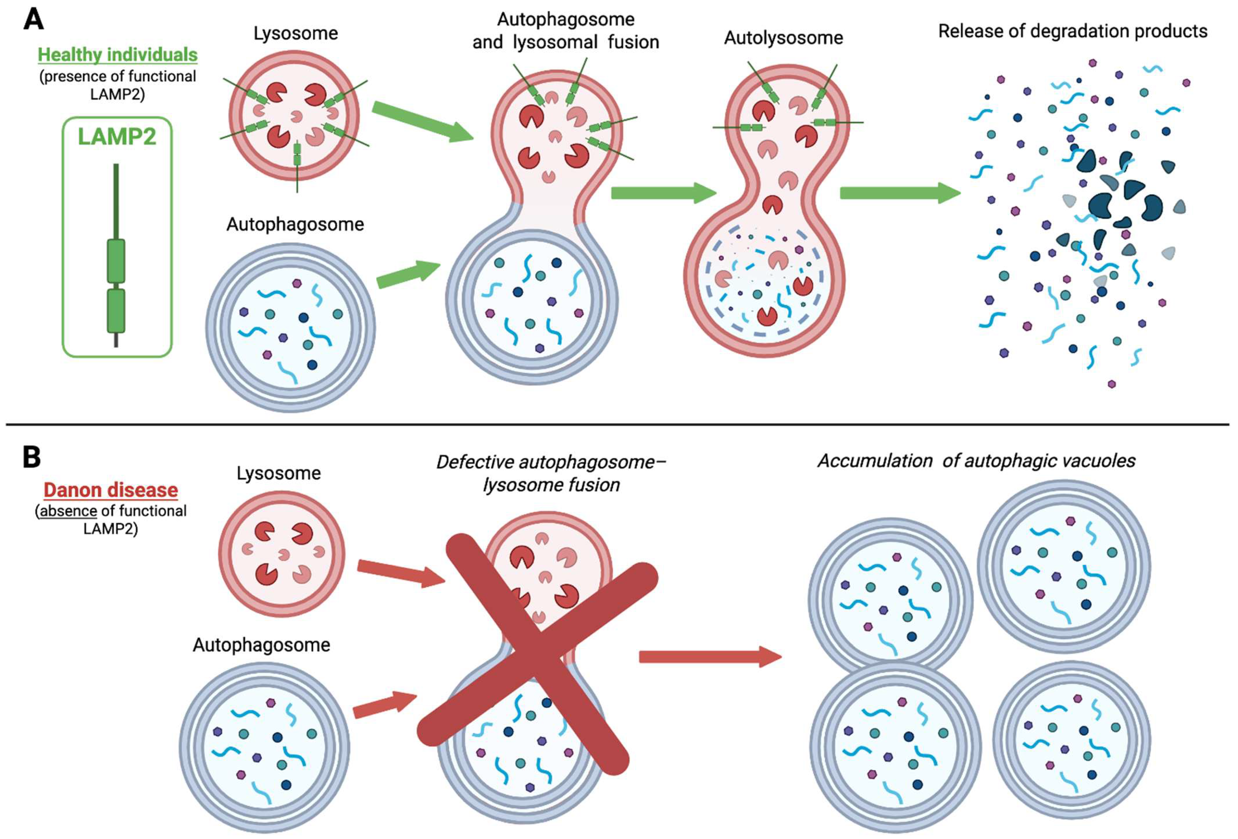 Cardiogenetics 15 00032 g001